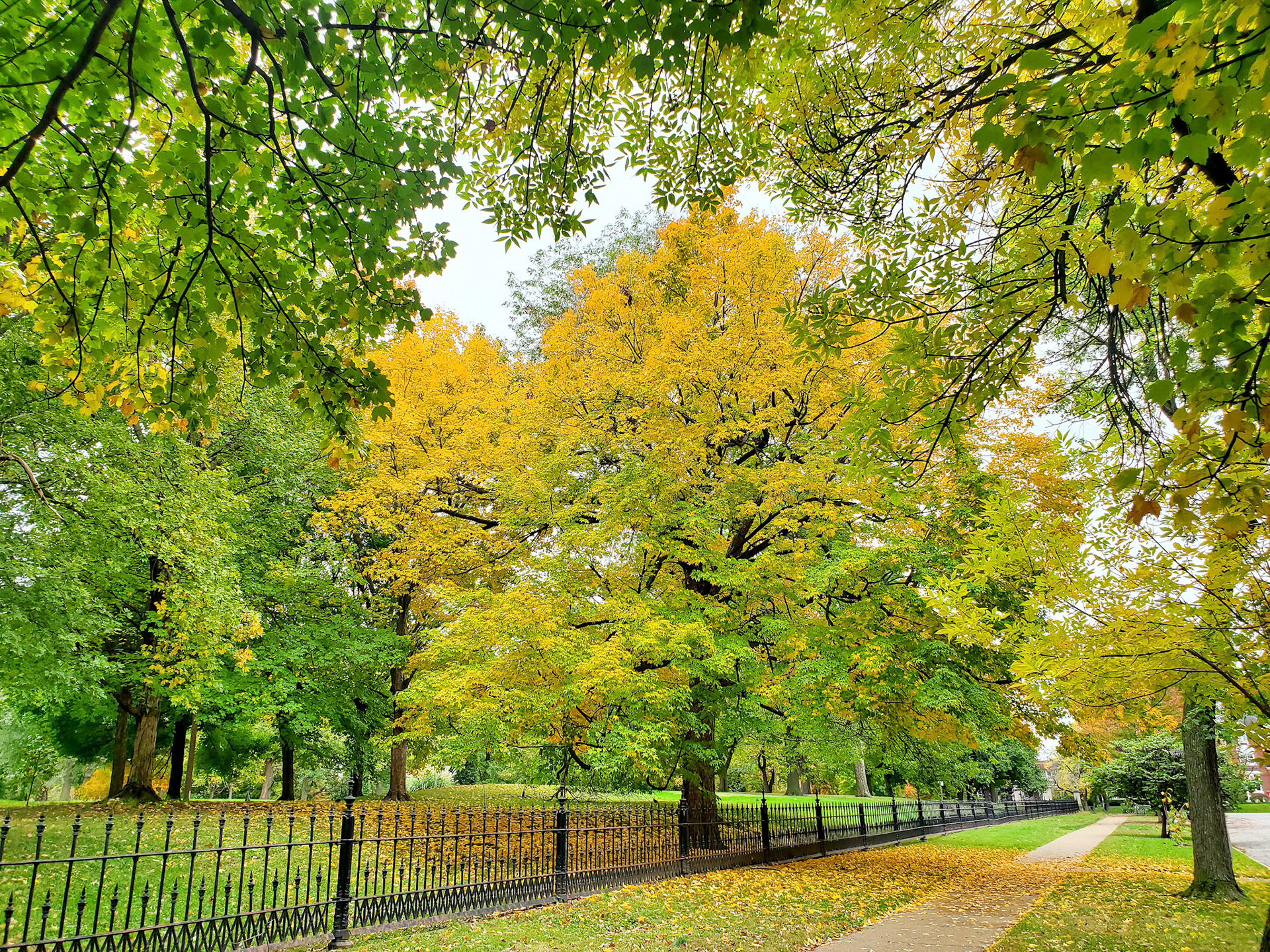 Lafayette Park (St. Louis, MO)