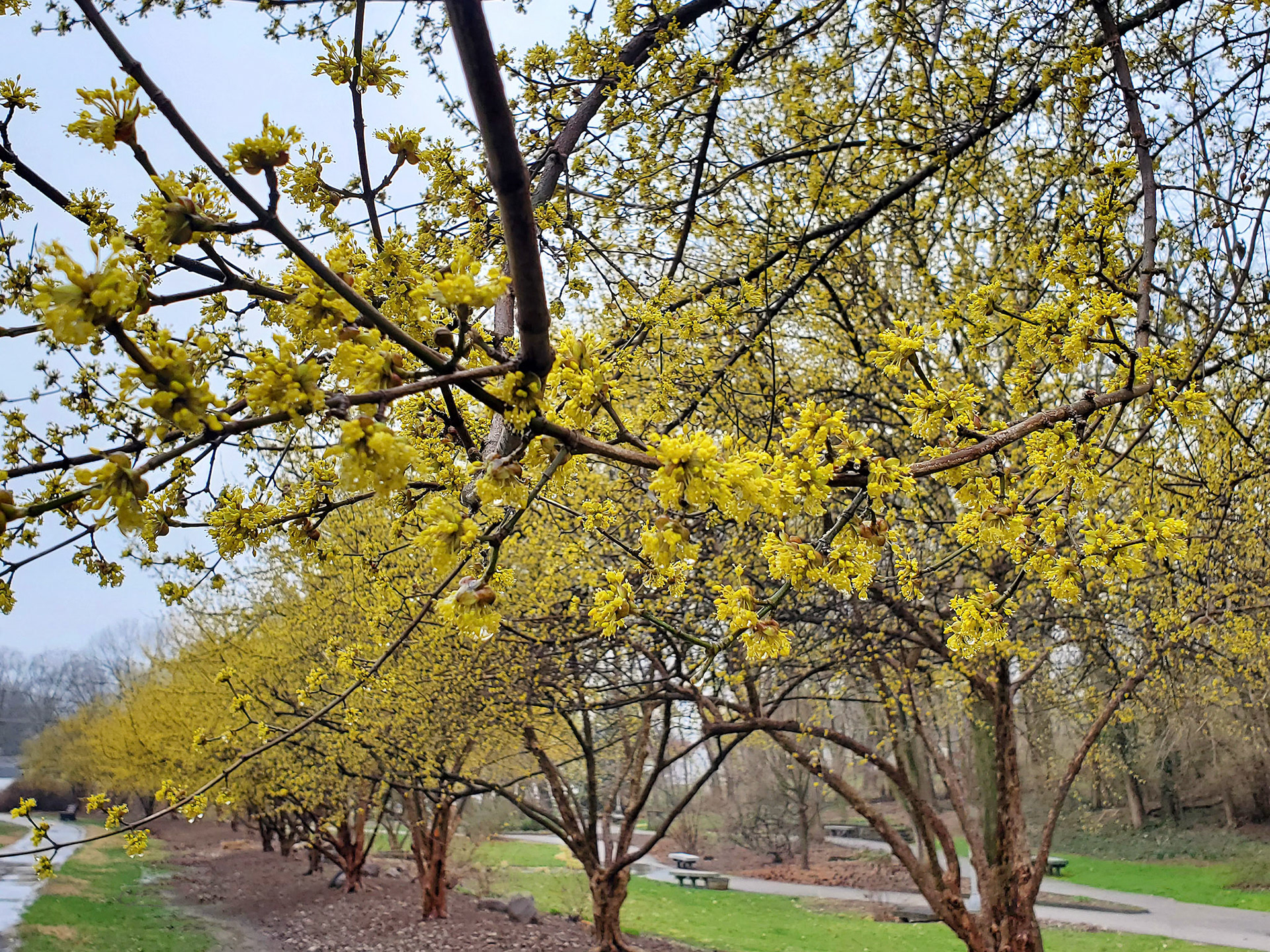 McNair Park (St. Charles, MO)
