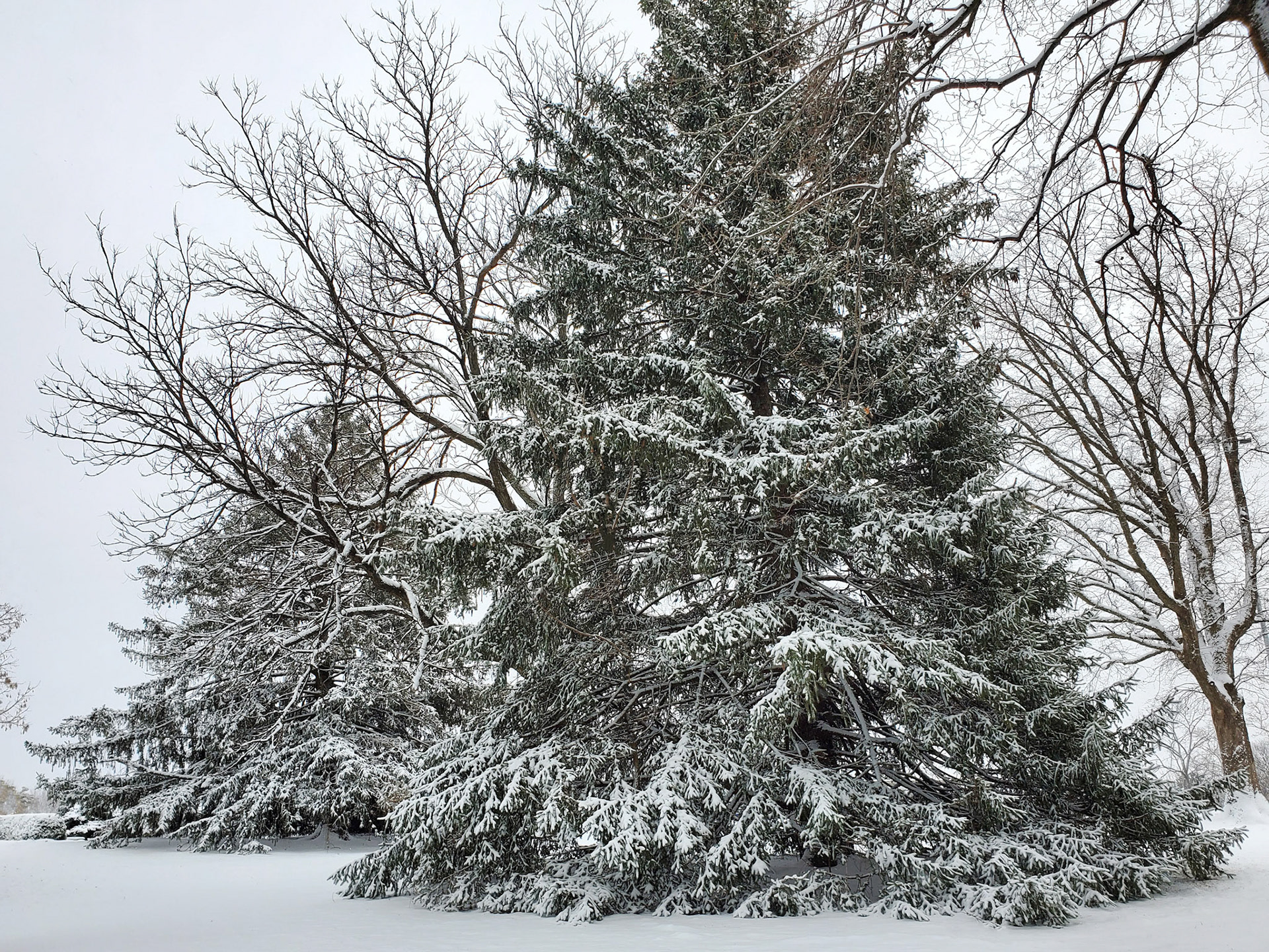 Blanchette Park (St. Charles, MO)