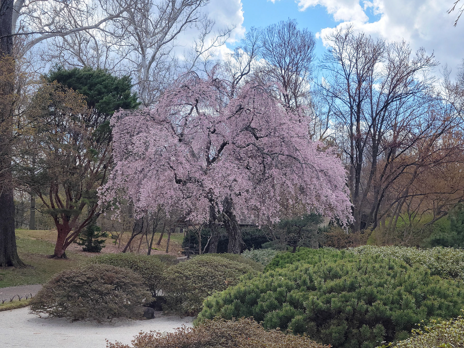 Missouri Botanical Garden (St. Louis, MO)