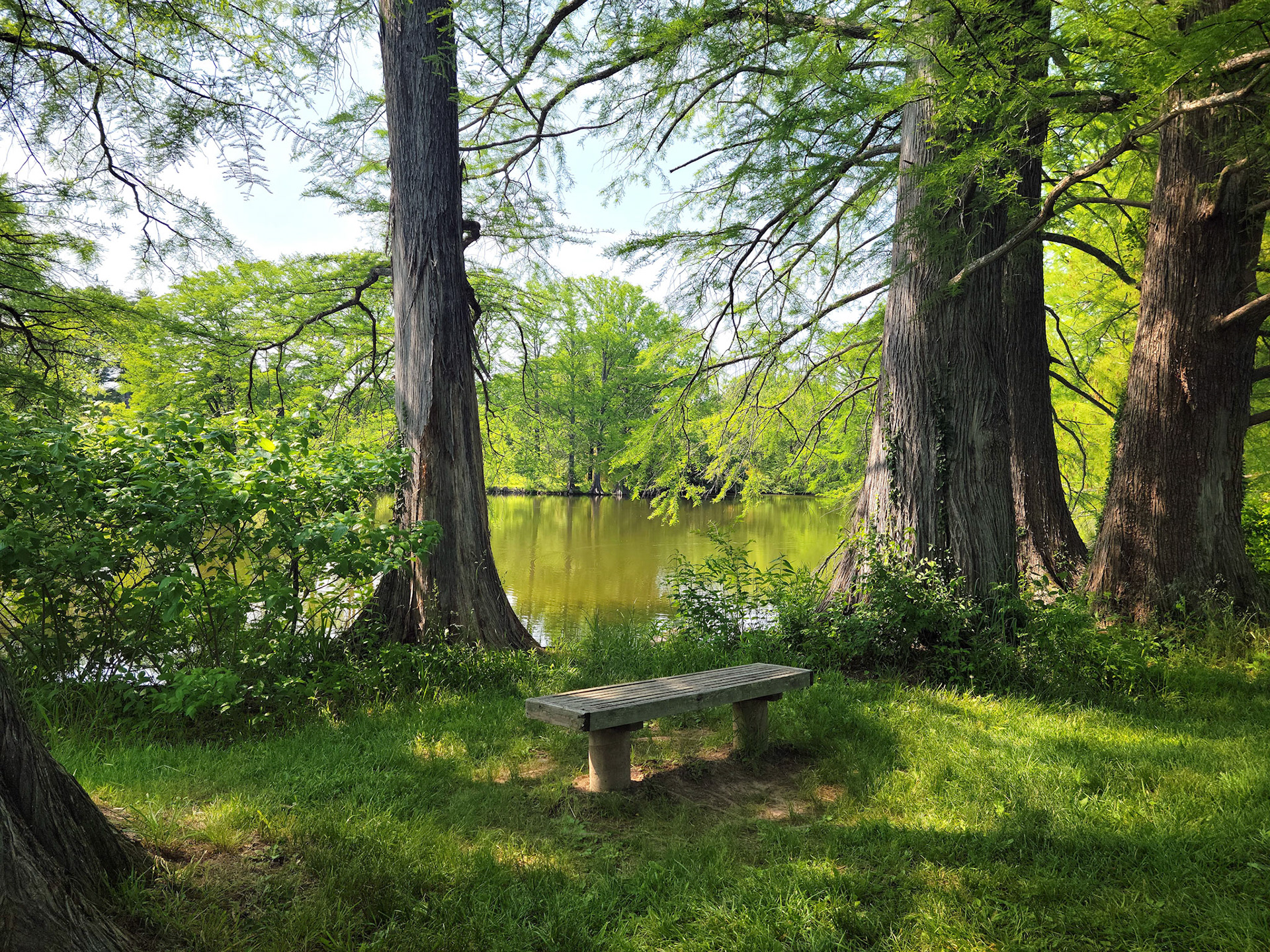 Shaw Nature Reserve (Pacific, MO)