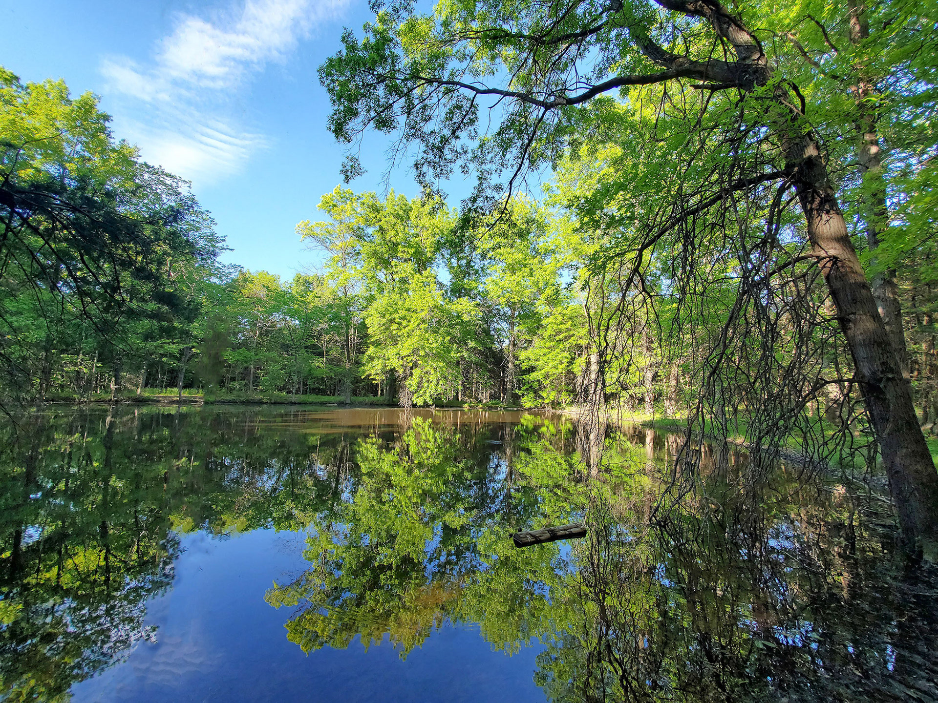 Towne Park (Foristell, MO)