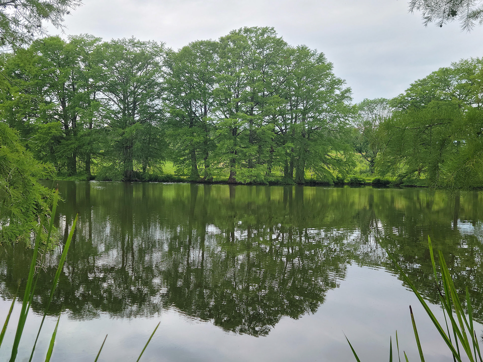 Shaw Nature Reserve (Pacific, MO)