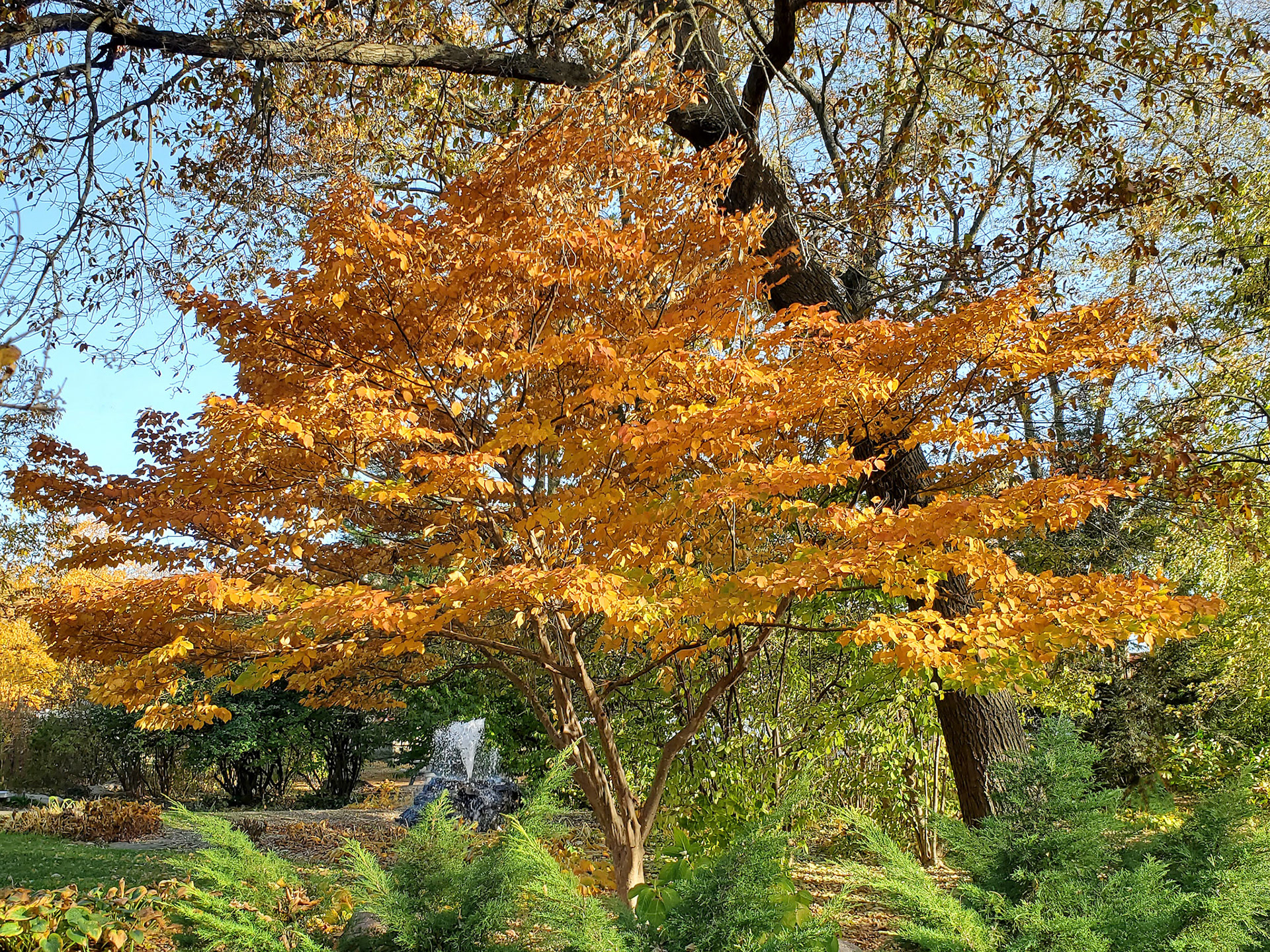 McNair Park (St. Charles, MO)