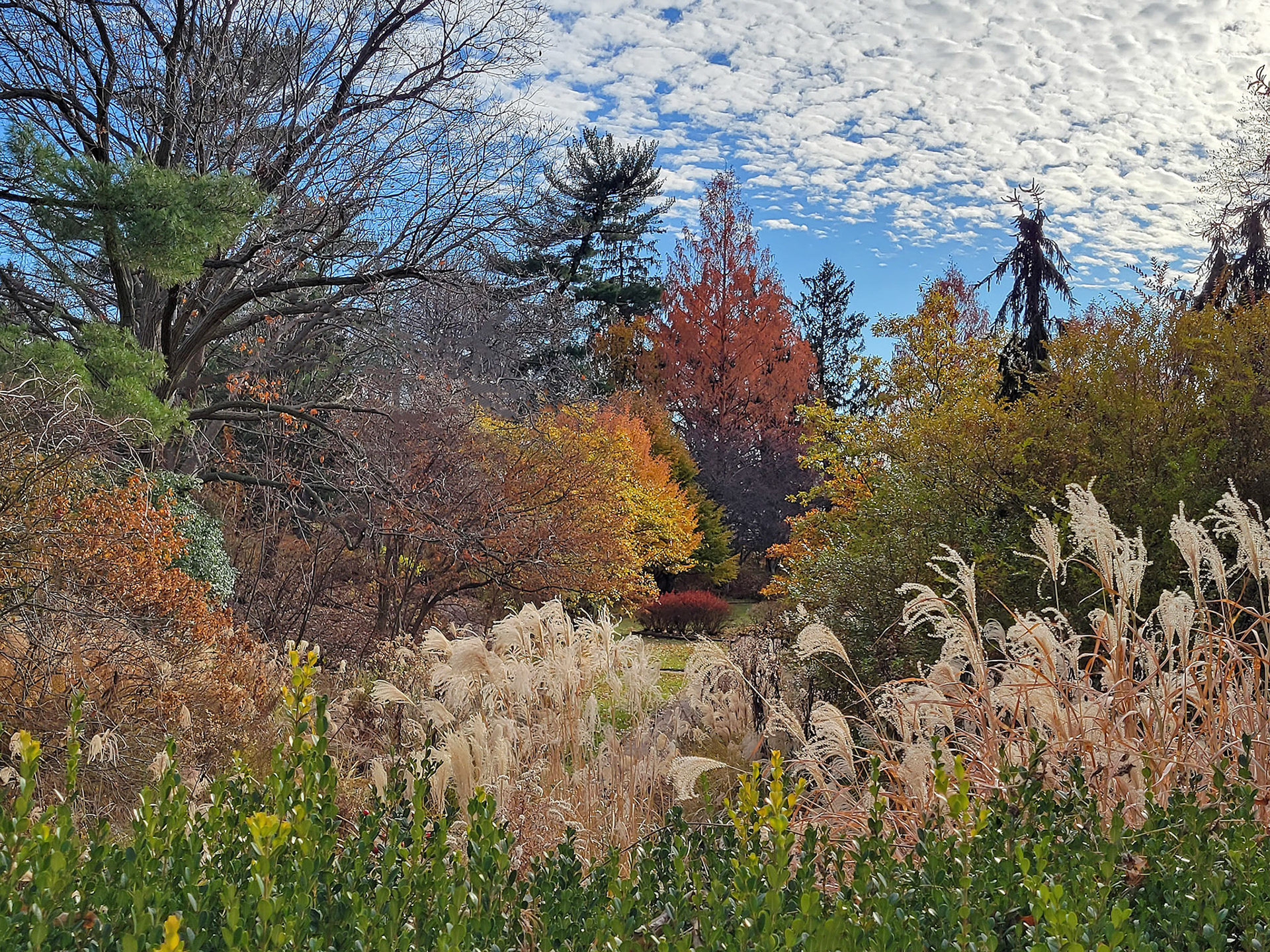 Blanchette Park (St. Charles, MO)