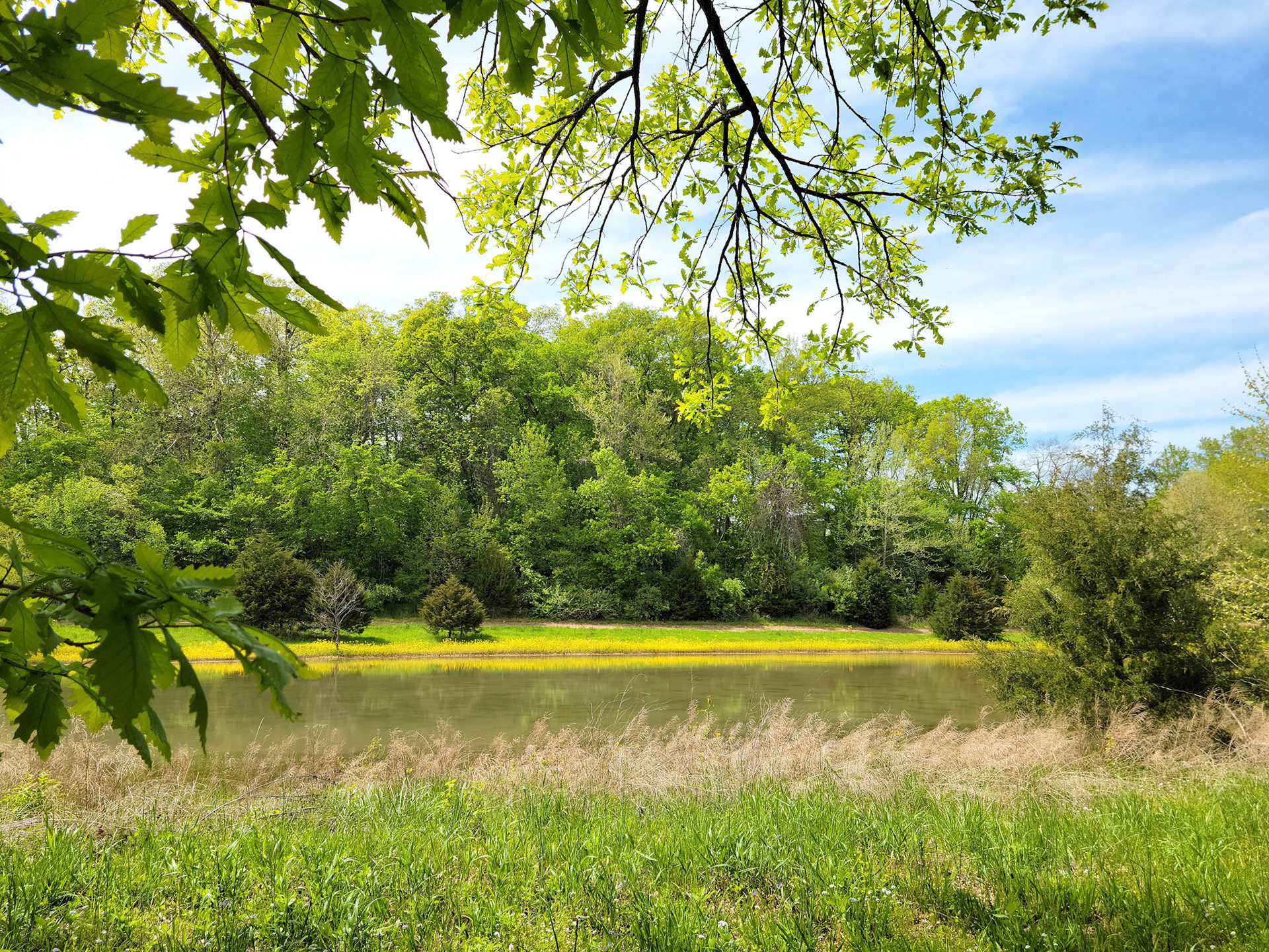 Deer Ridge Park (Lake St. Louis, MO)