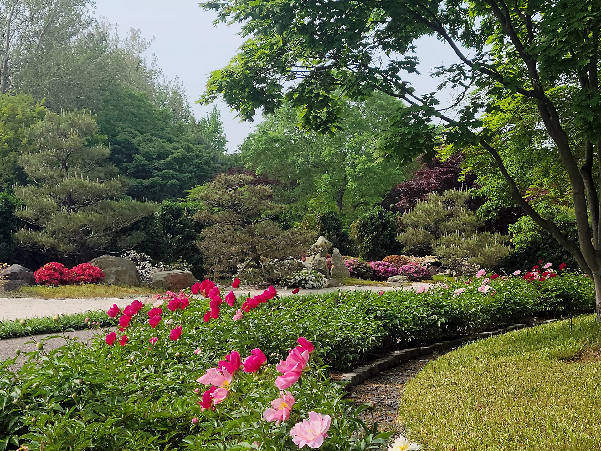 Missouri Botanical Garden (St. Louis, MO)