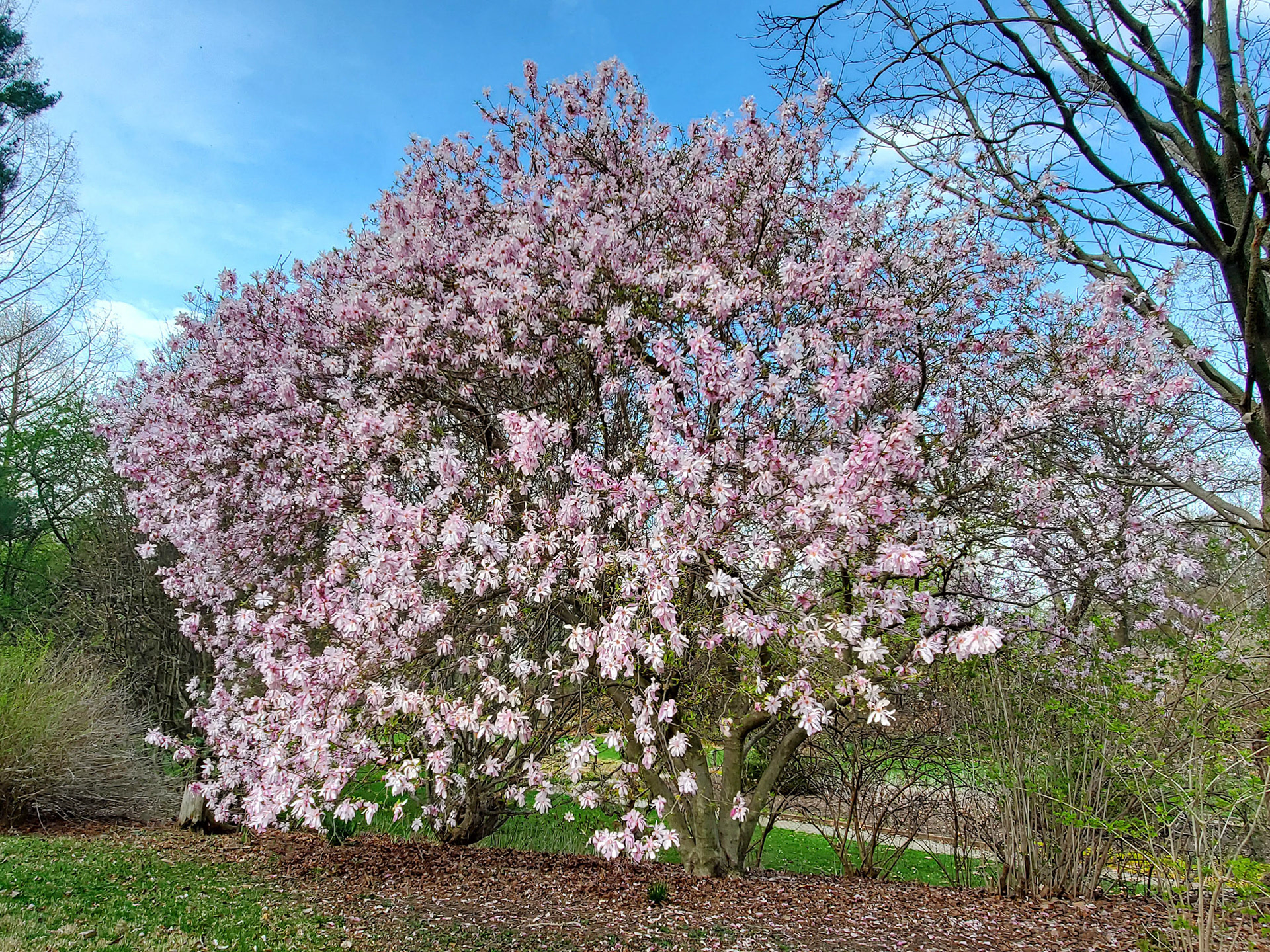 Blanchette Park (St. Charles, MO)