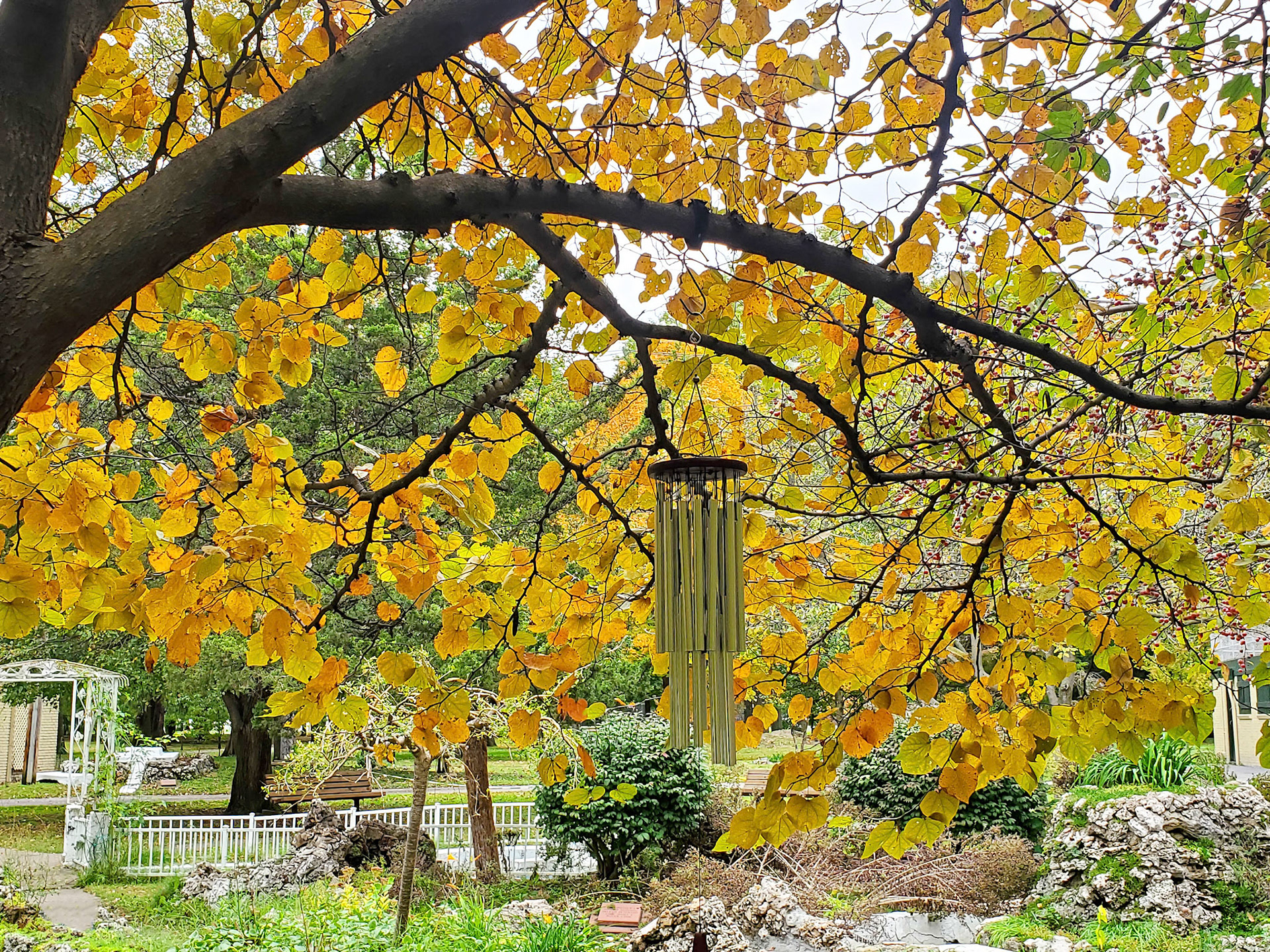 Wilson Park (Granite City, IL)
