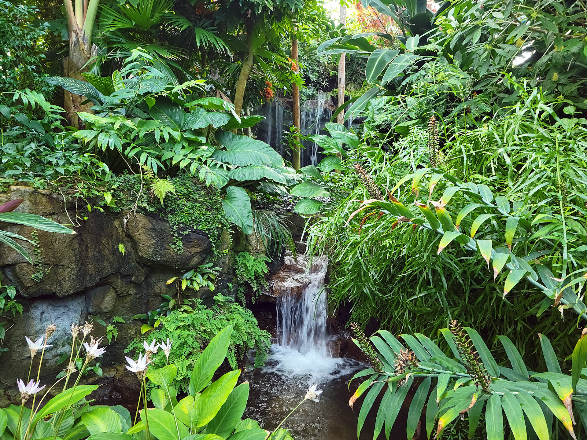 Climatron (St. Louis, MO)