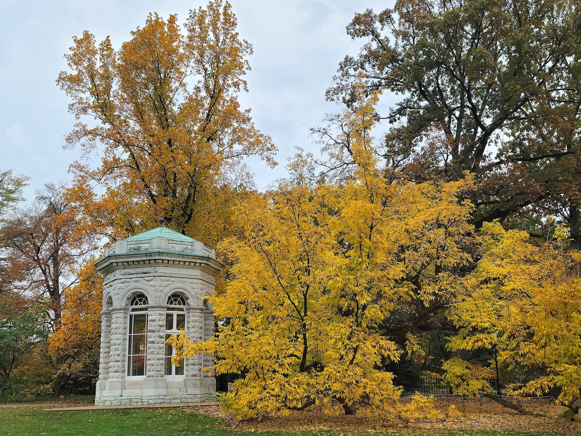 Missouri Botanical Garden (St. Louis, MO)