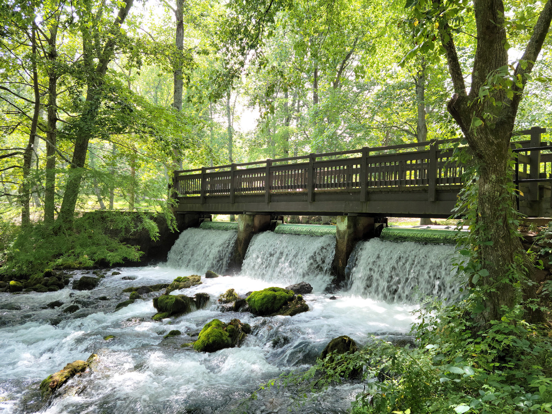 Maramec Spring Park (St. James, MO)