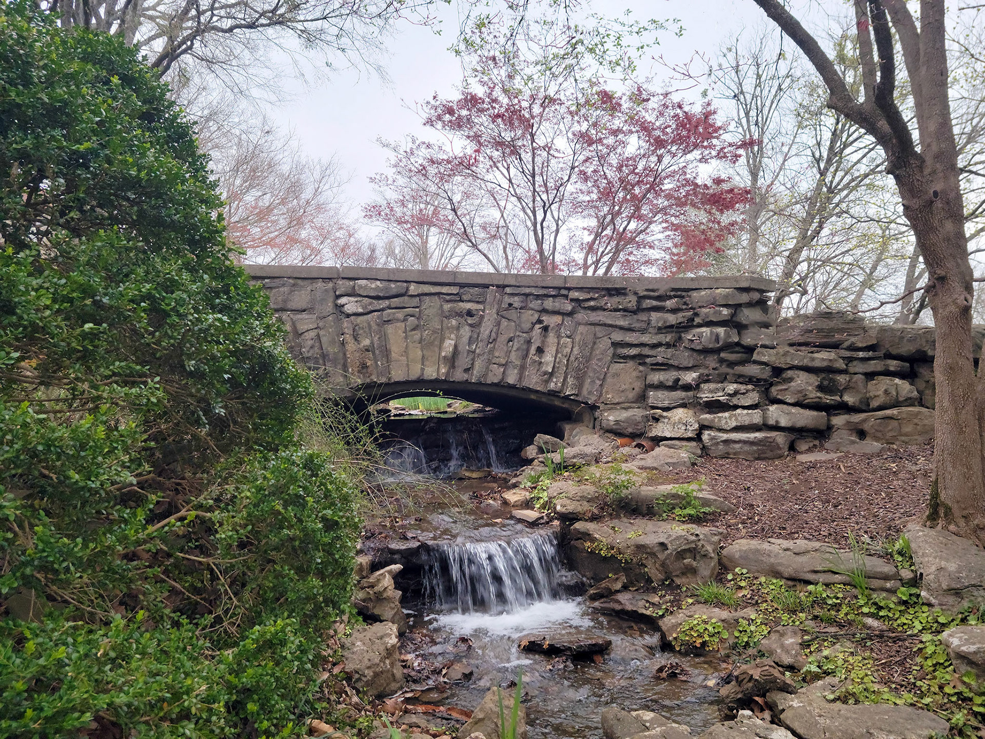Cheekwood Gardens (Nashville, TN)