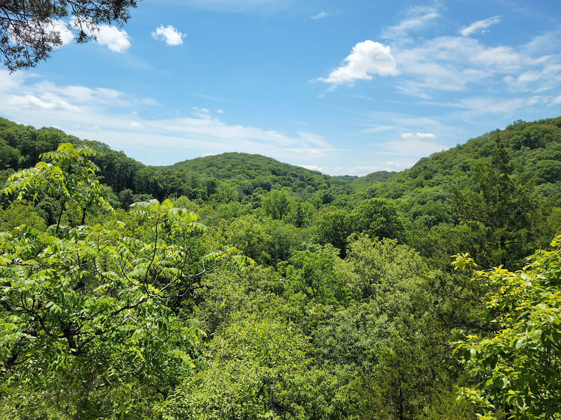 Rockwoods Reservation (Wildwood, MO)