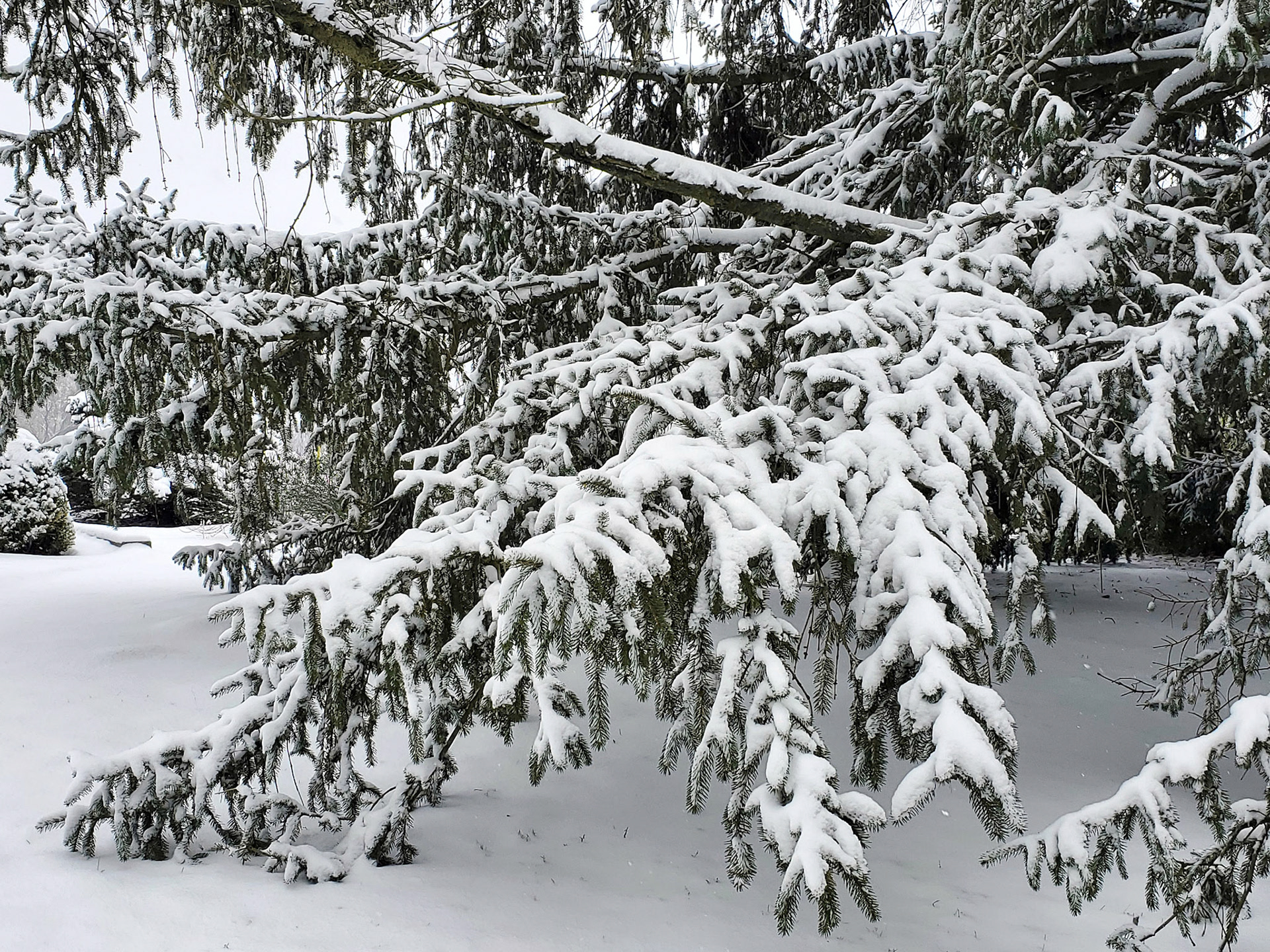 Blanchette Park (St. Charles, MO)