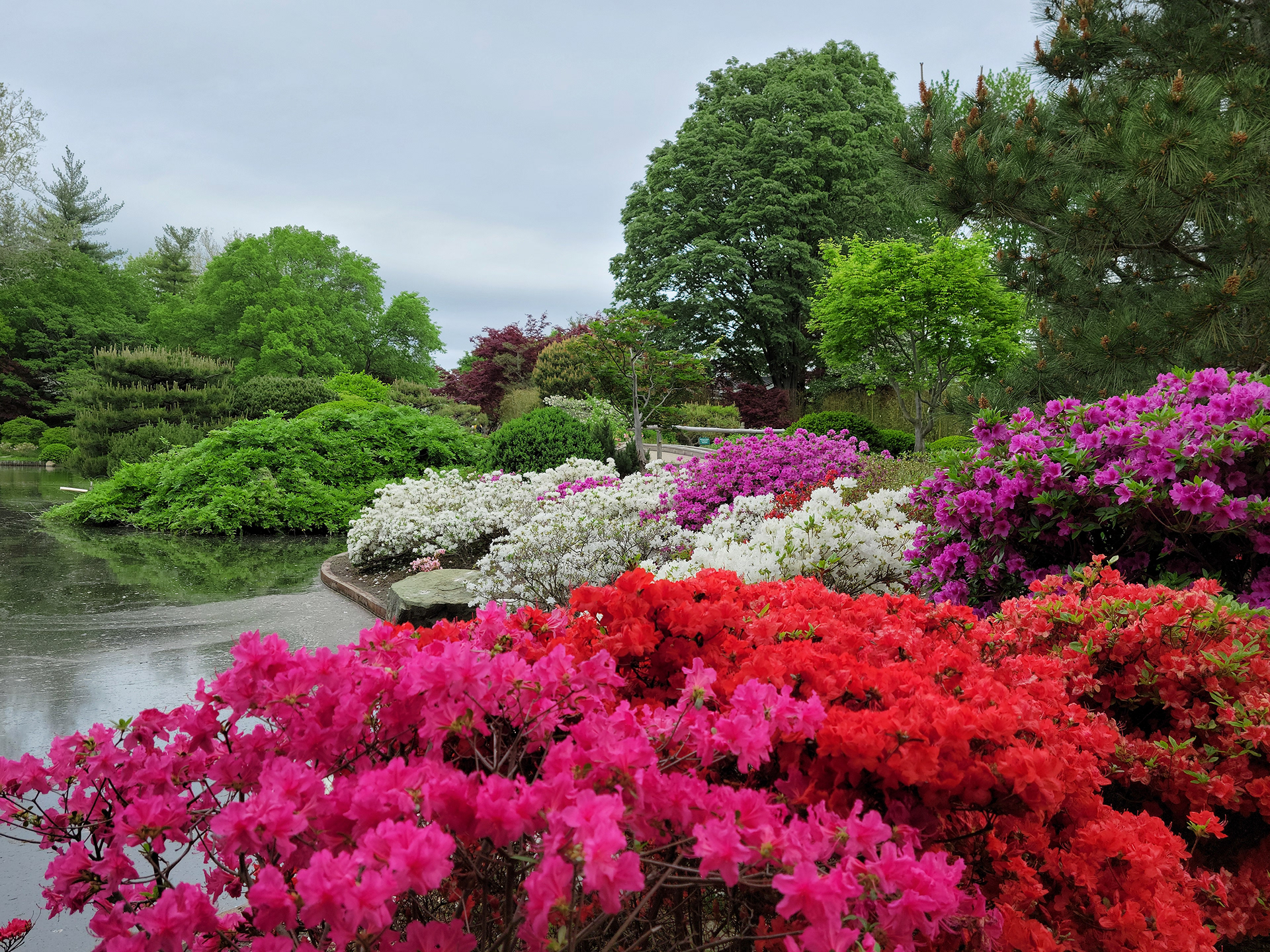 Missouri Botanical Garden (St. Louis, MO)