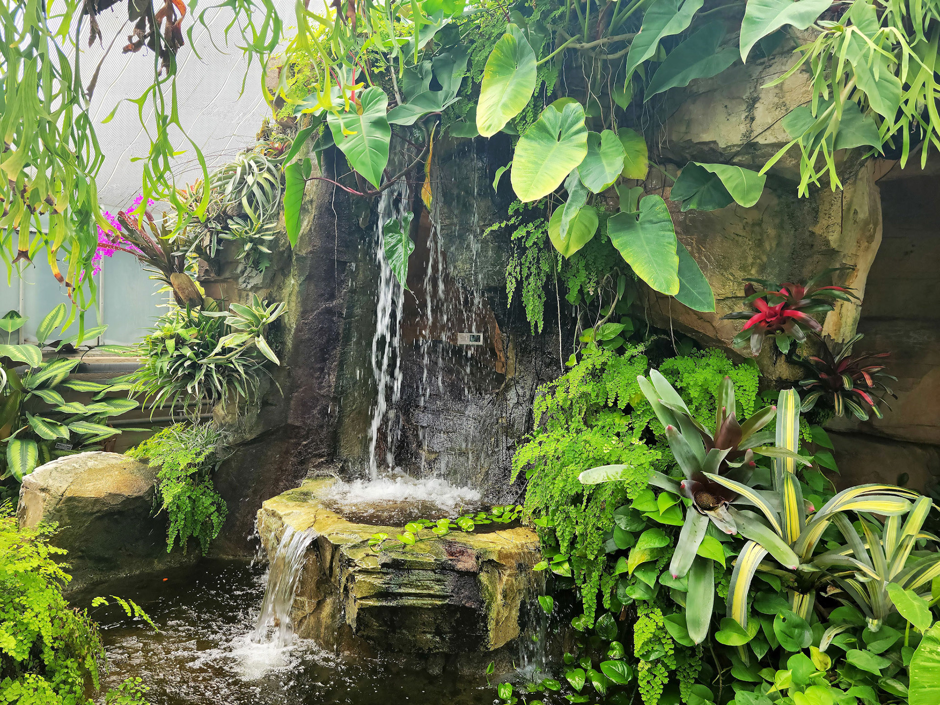 New Orleans Botanical Garden (New Orleans, LA)