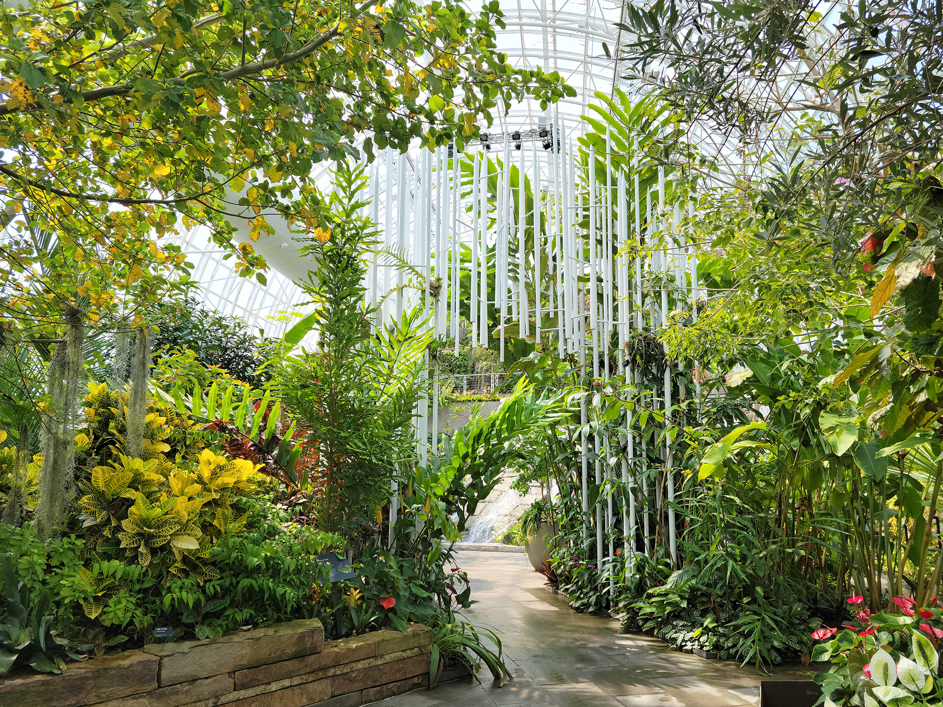 Myriad Botanical Garden (Oklahoma City, OK)