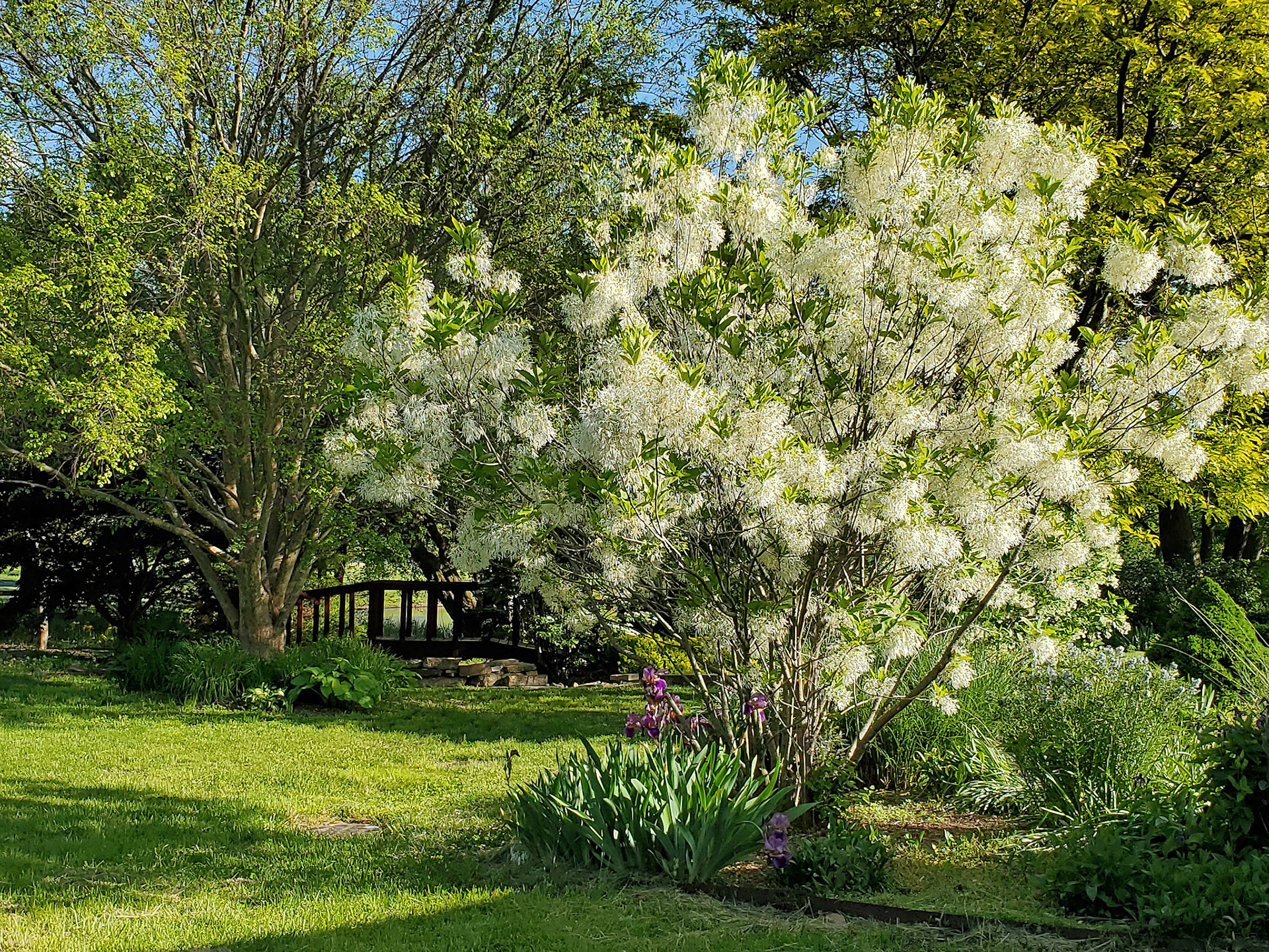 Drost Park (Maryville, IL)