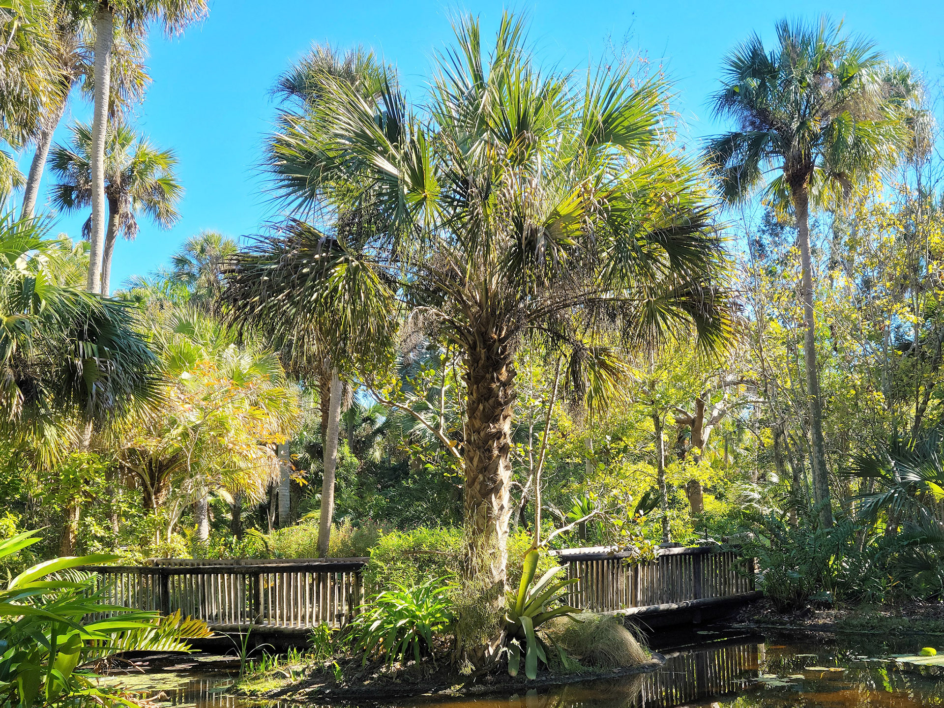McKee Botanical Garden (Vero Beach, FL)