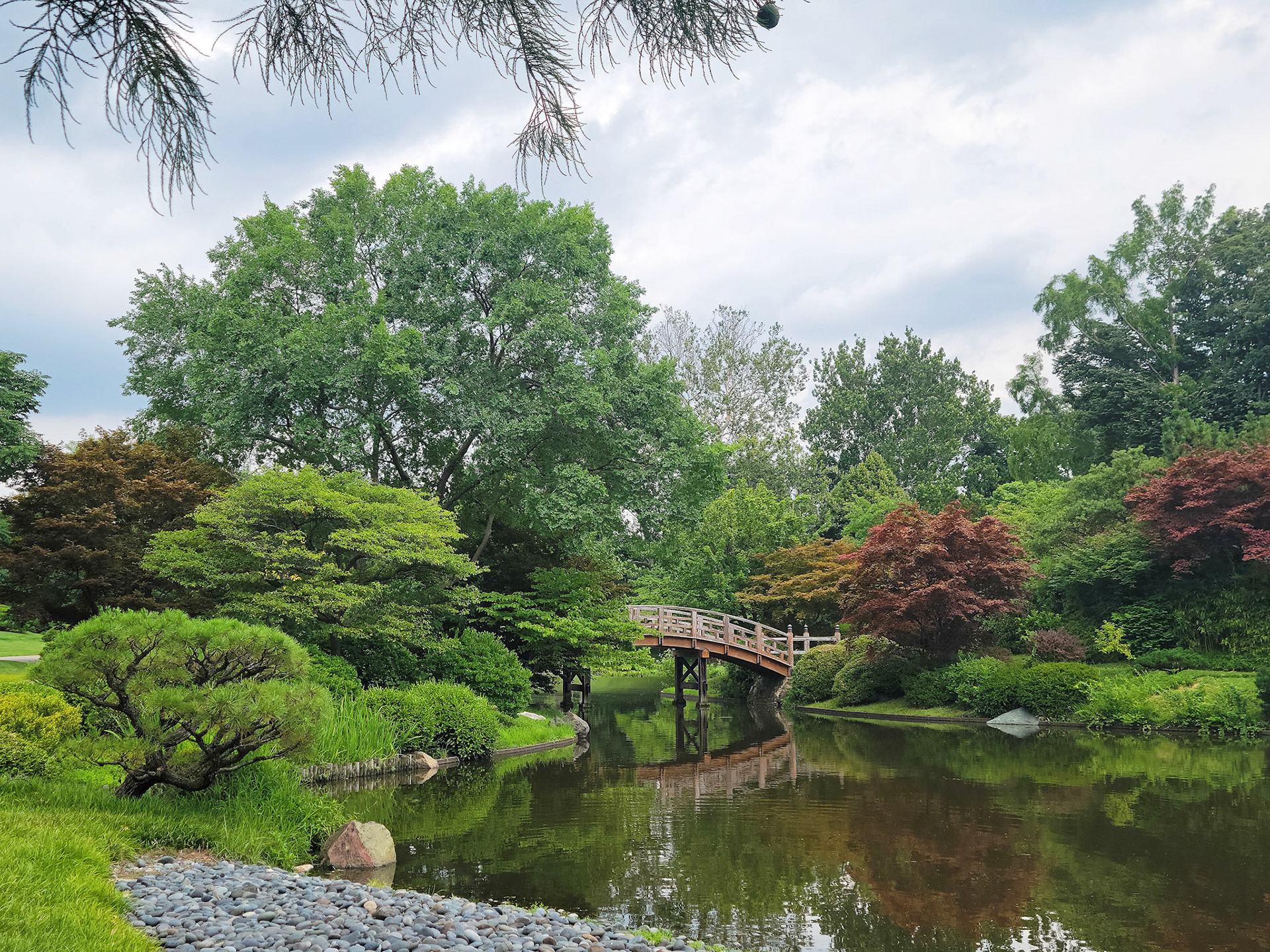 Missouri Botanical Garden (St. Louis, MO)