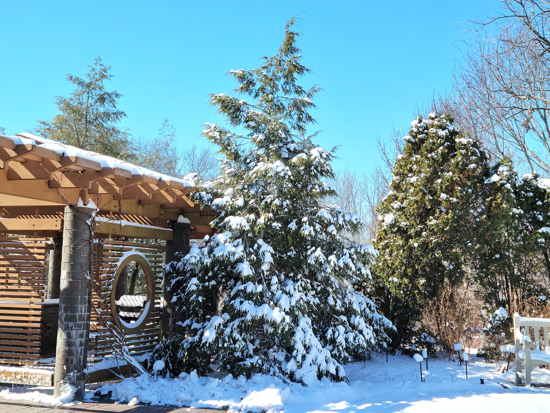 Missouri Botanical Garden (St. Louis, MO)