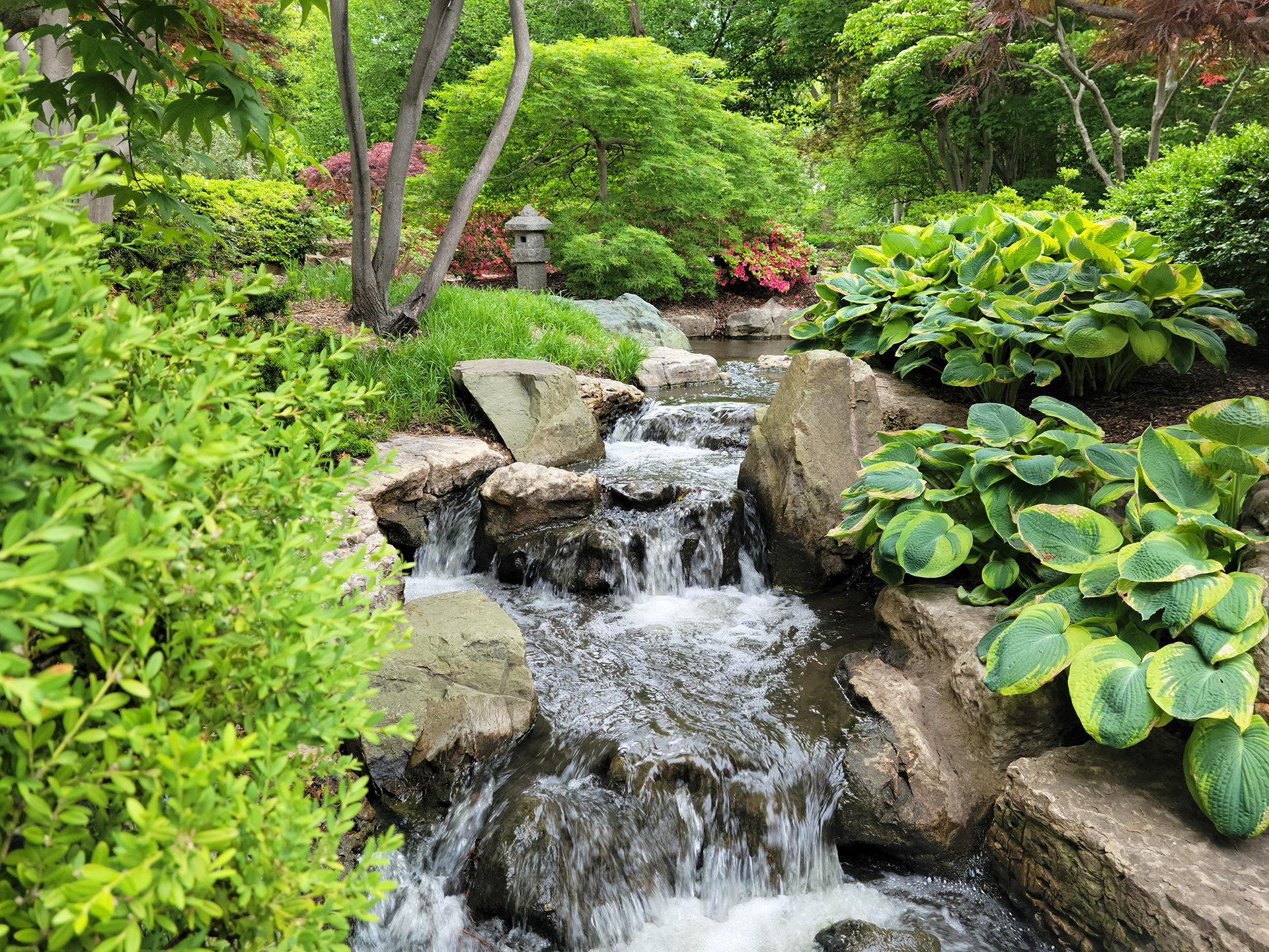 Missouri Botanical Garden (St. Louis, MO)