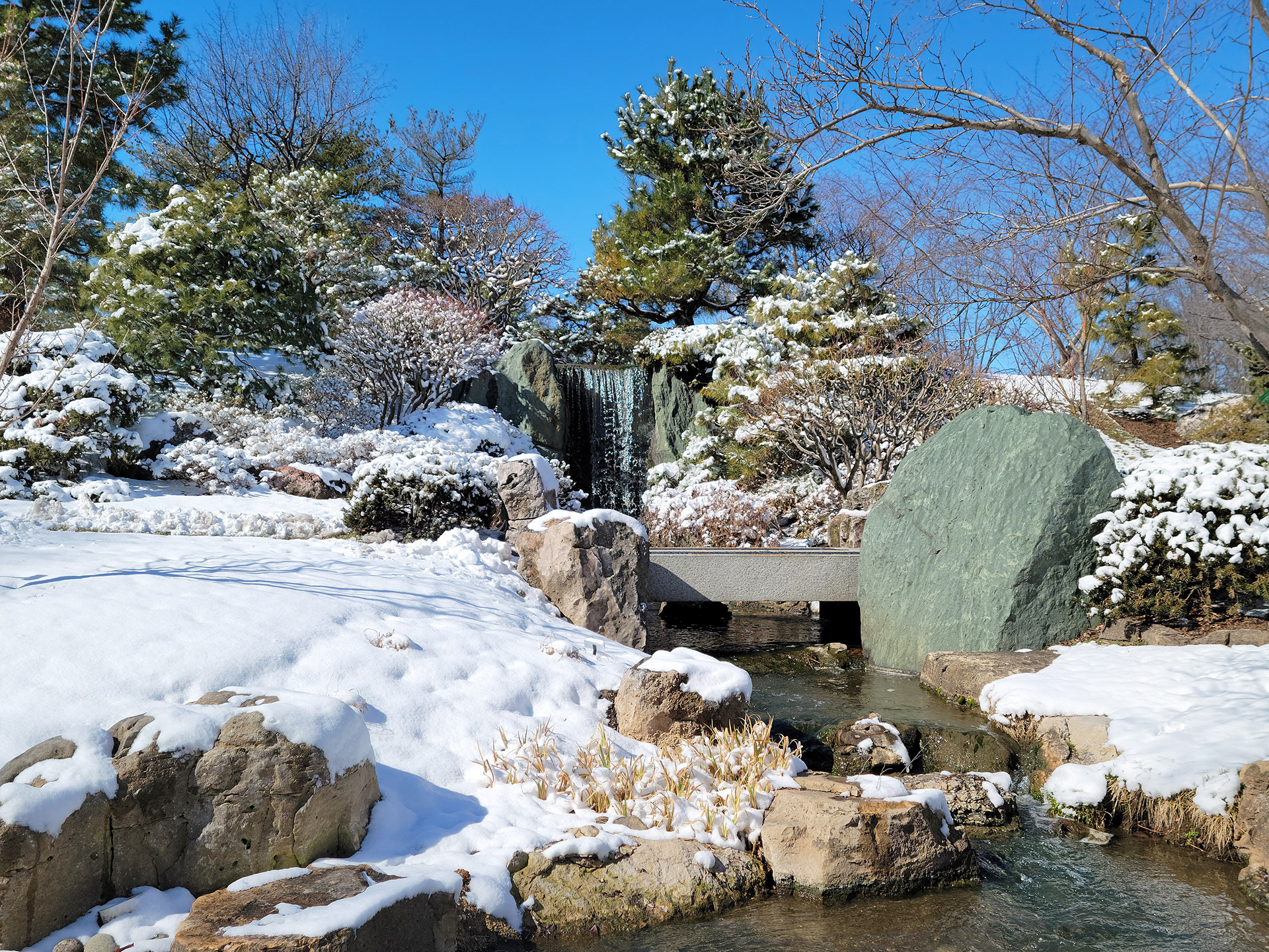 Missouri Botanical Garden (St. Louis, MO)