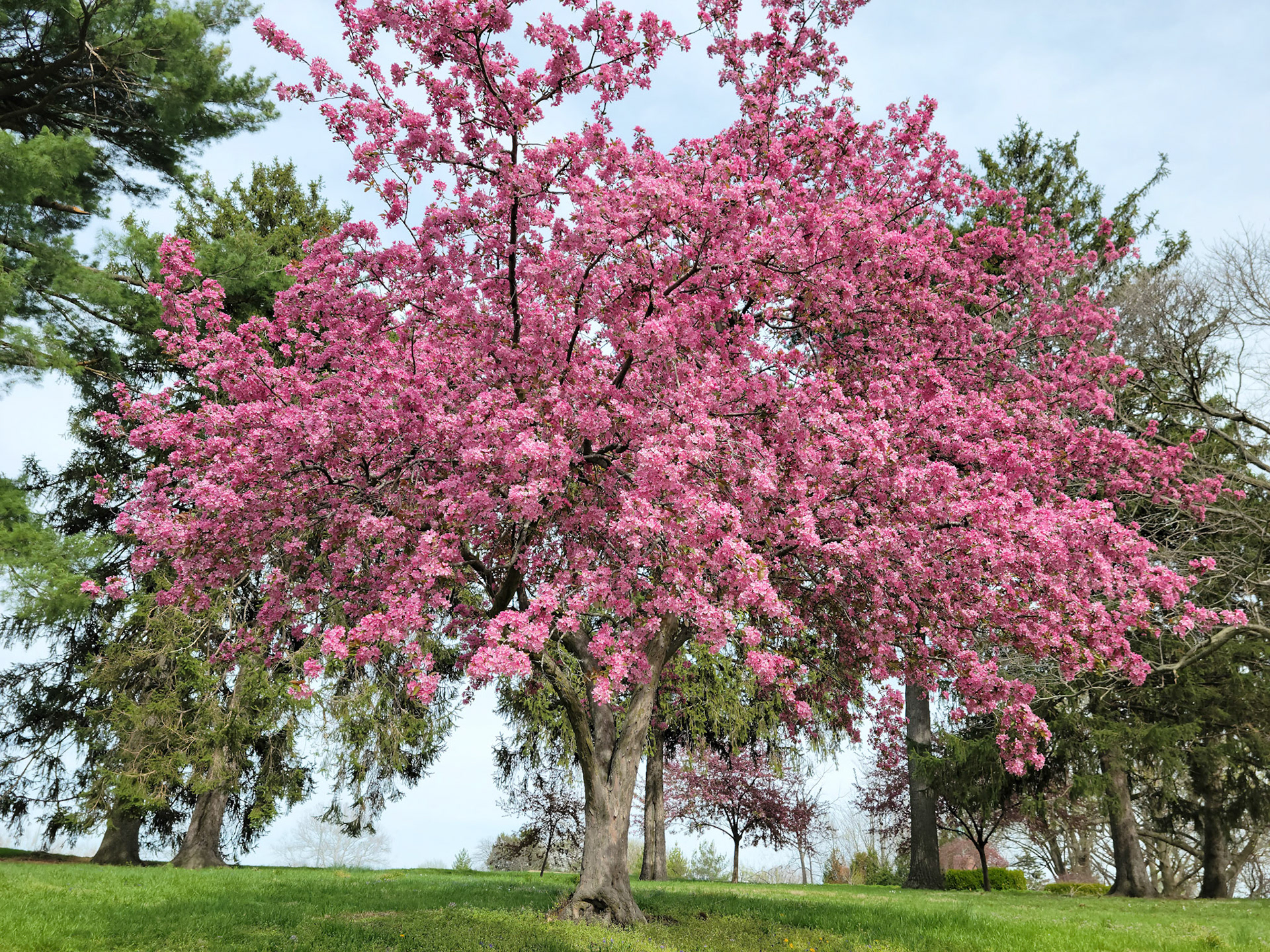 Blanchette Park (St. Charles, MO)