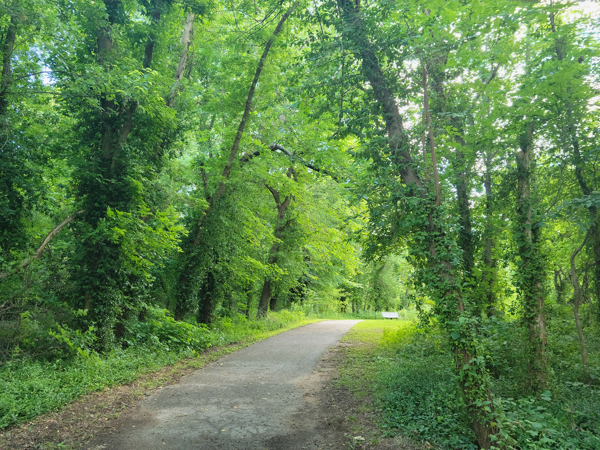 George Winter Park (Fenton, MO)