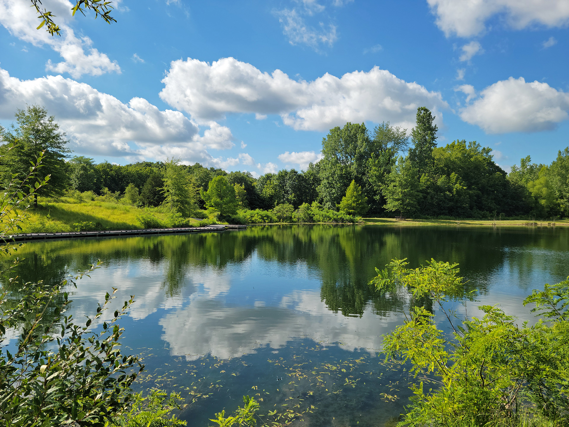 Indian Camp Creek Park (Foristell, MO)