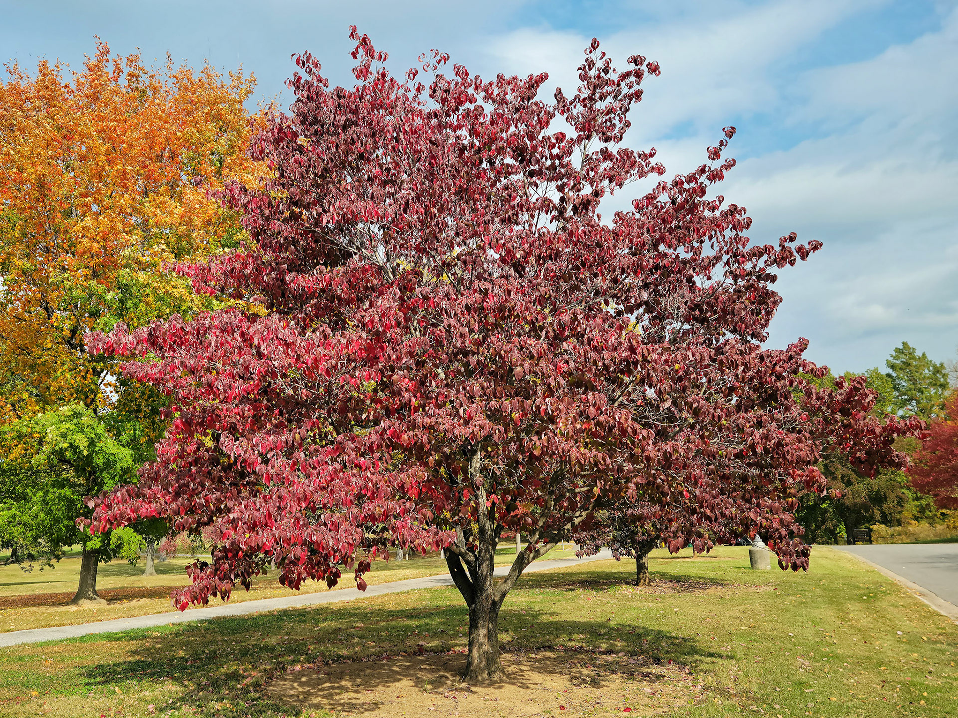 McNair Park (St. Charles, MO)
