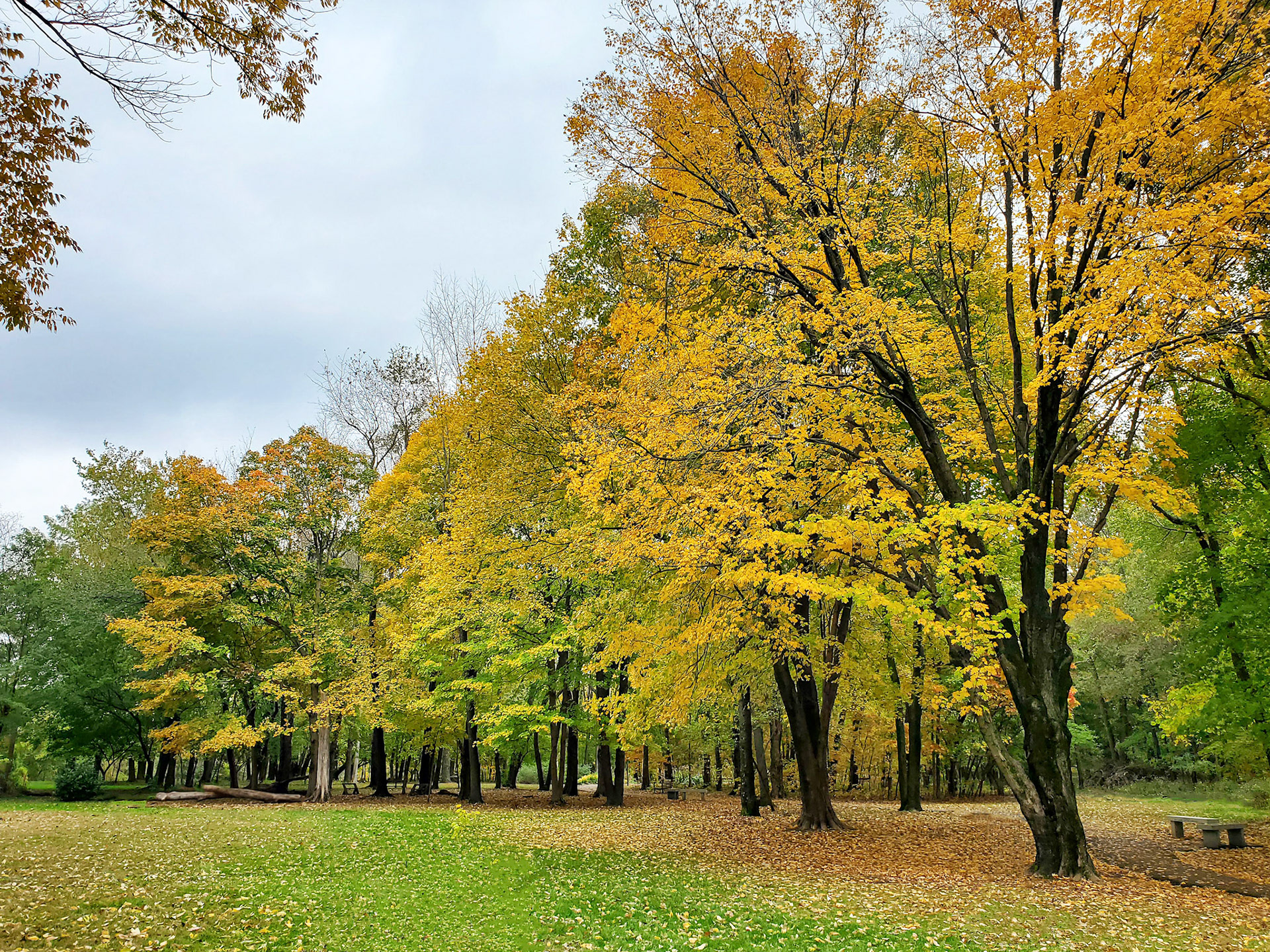 Gardens at SIUE (Edwardsville, IL)