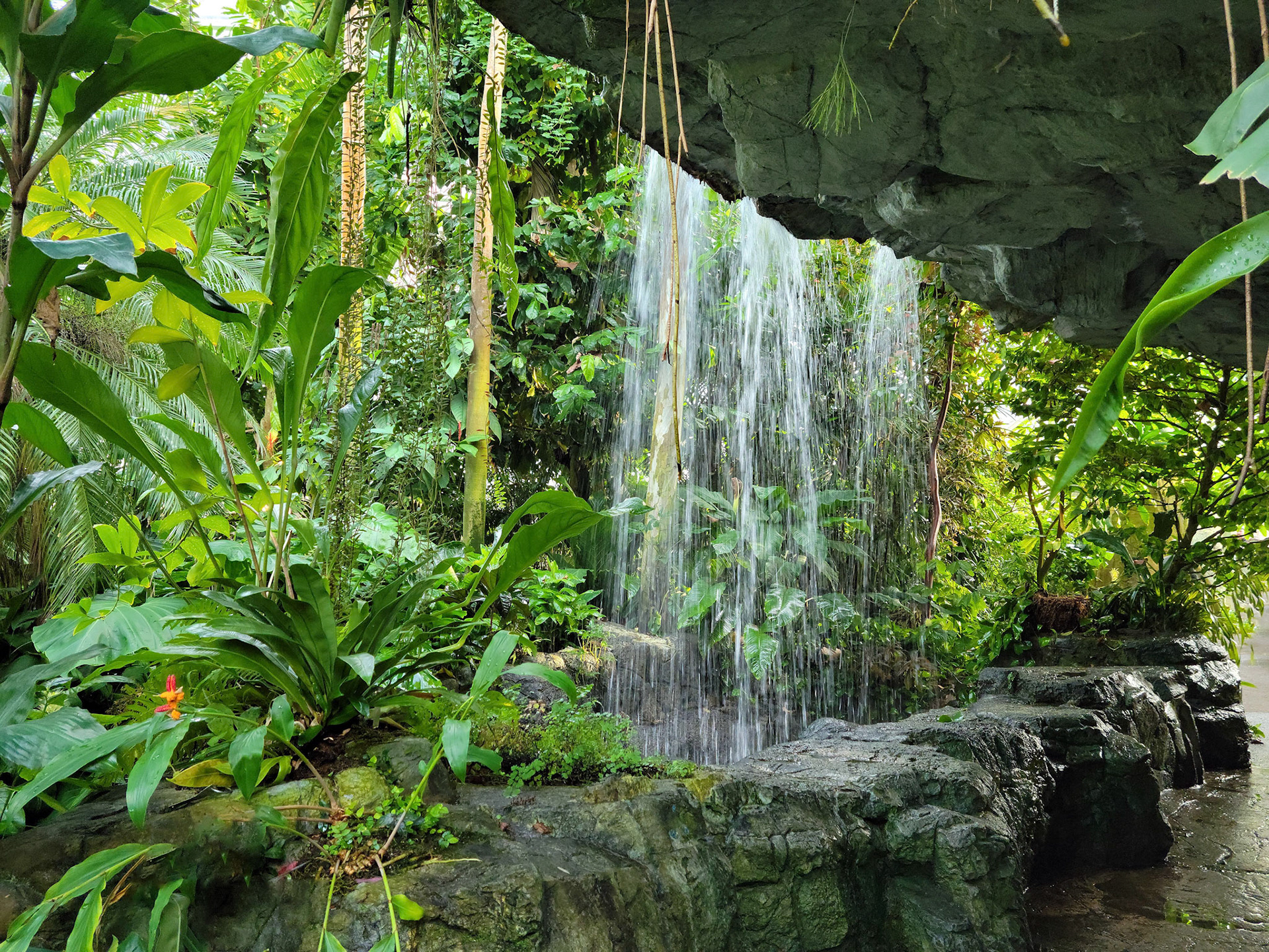 Climatron (St. Louis, MO)