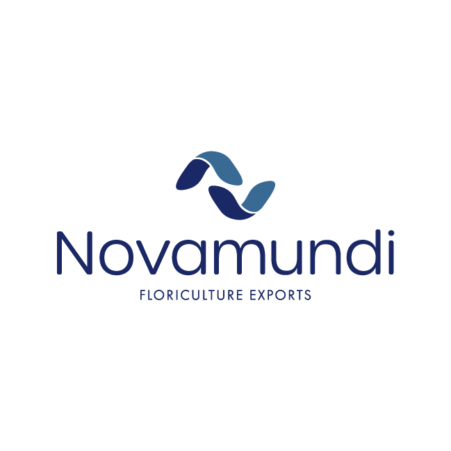 Secondary logo
