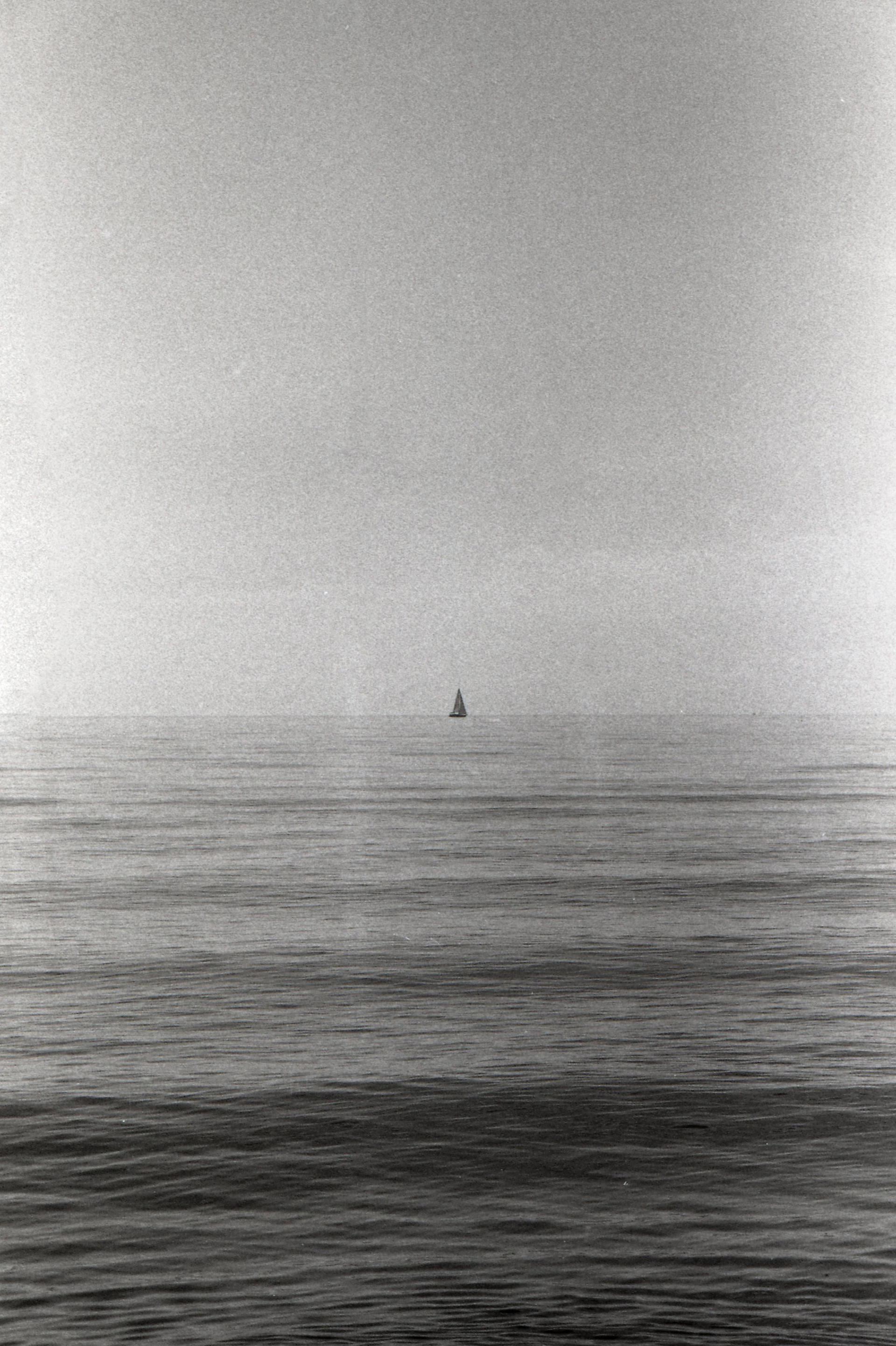 Mare, 2024