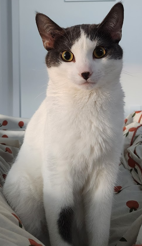 Moomoo looking handsome