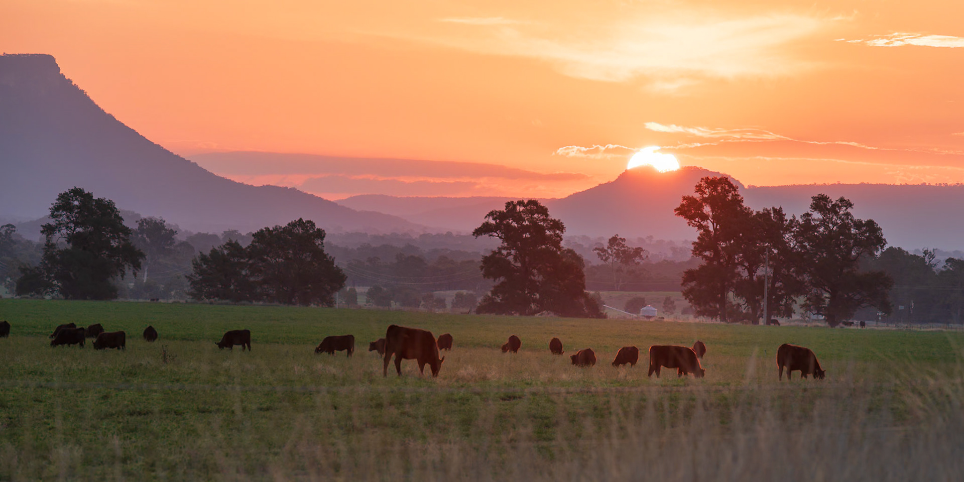 Sunset, Capertee Valley