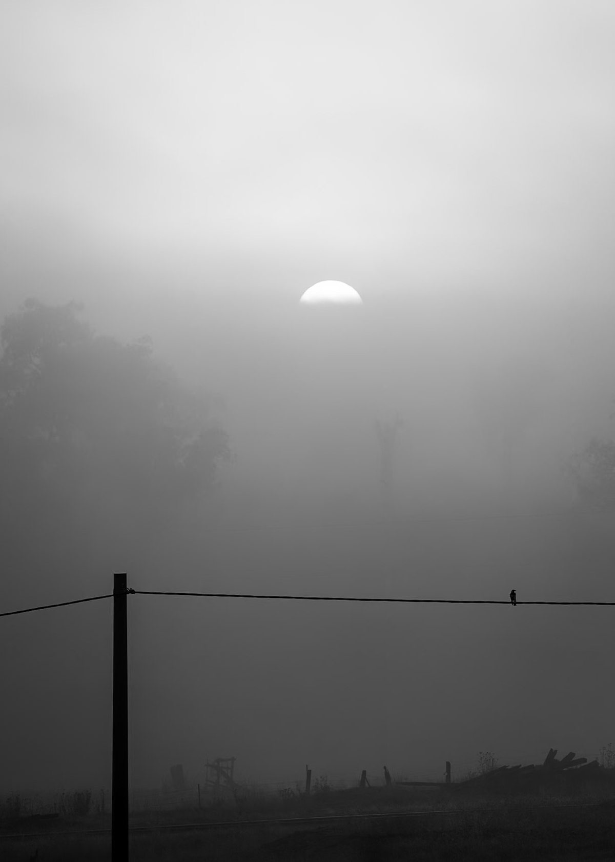 Foggy Autumn Morning, Rylstone