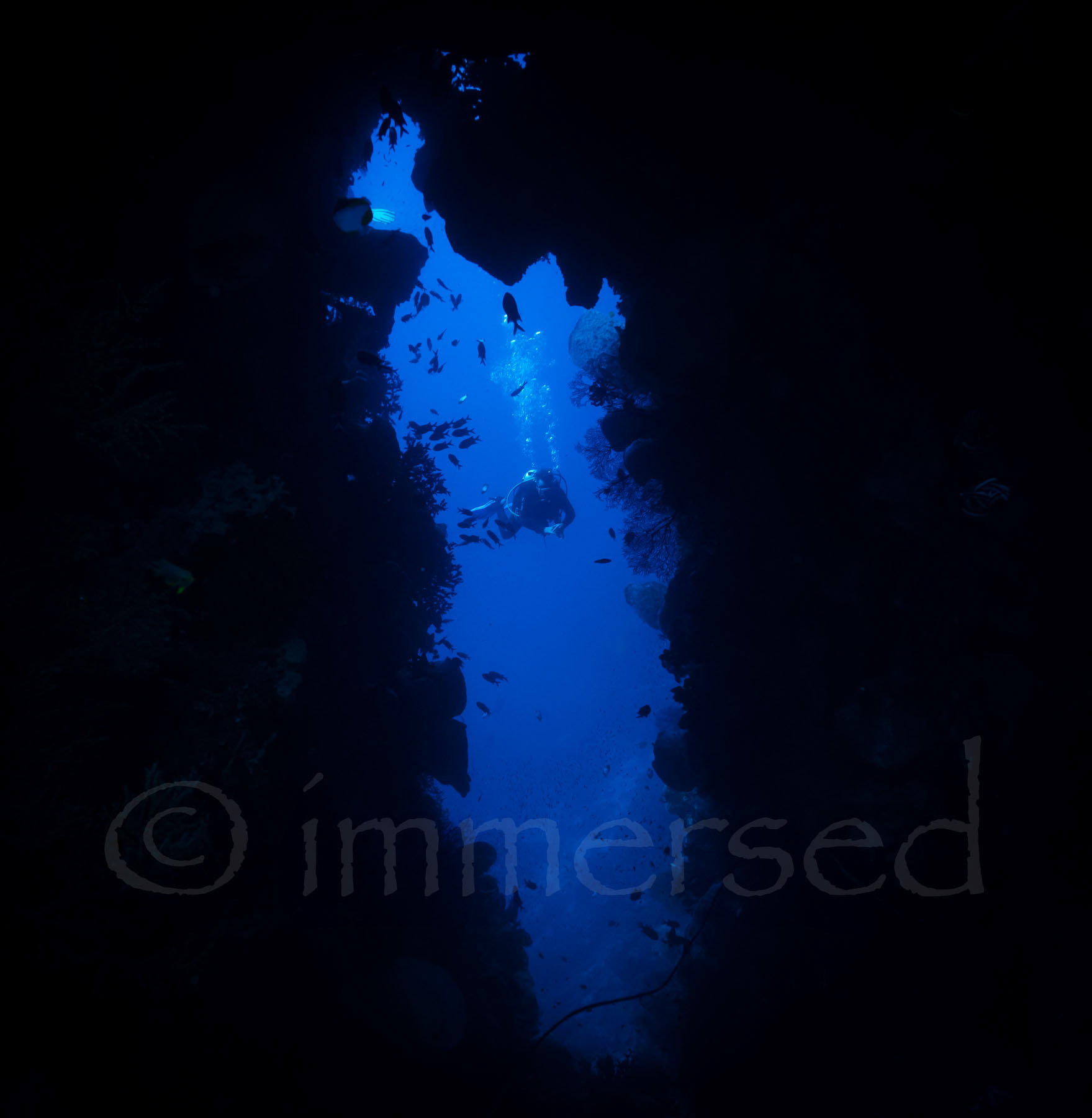 Turbang Burana, Banda