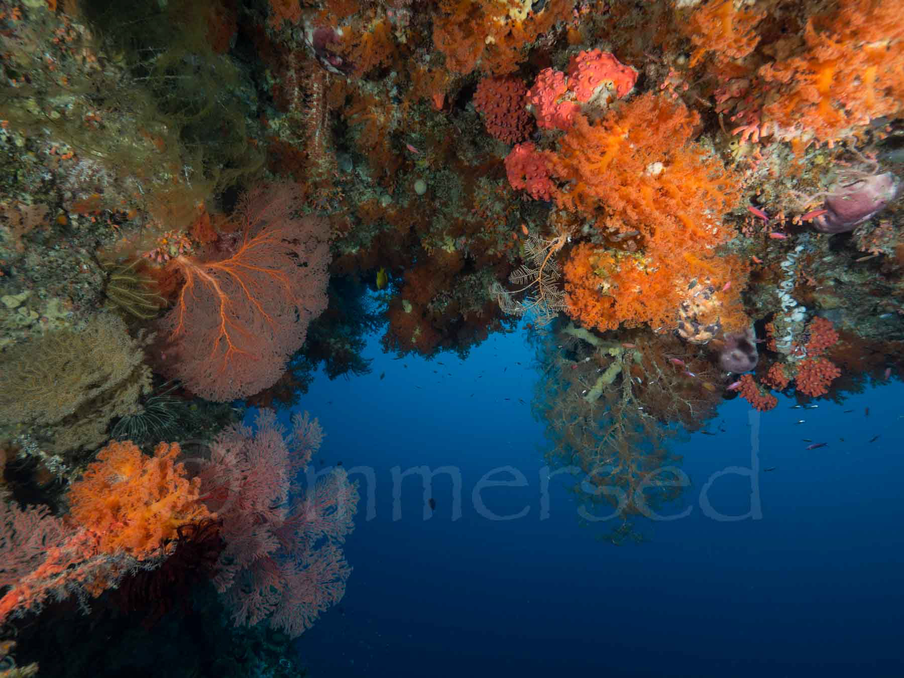 Dawera Island