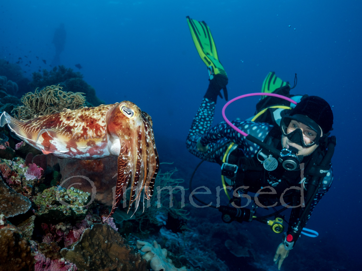 Dorren and the cuttlefish - Romang Island