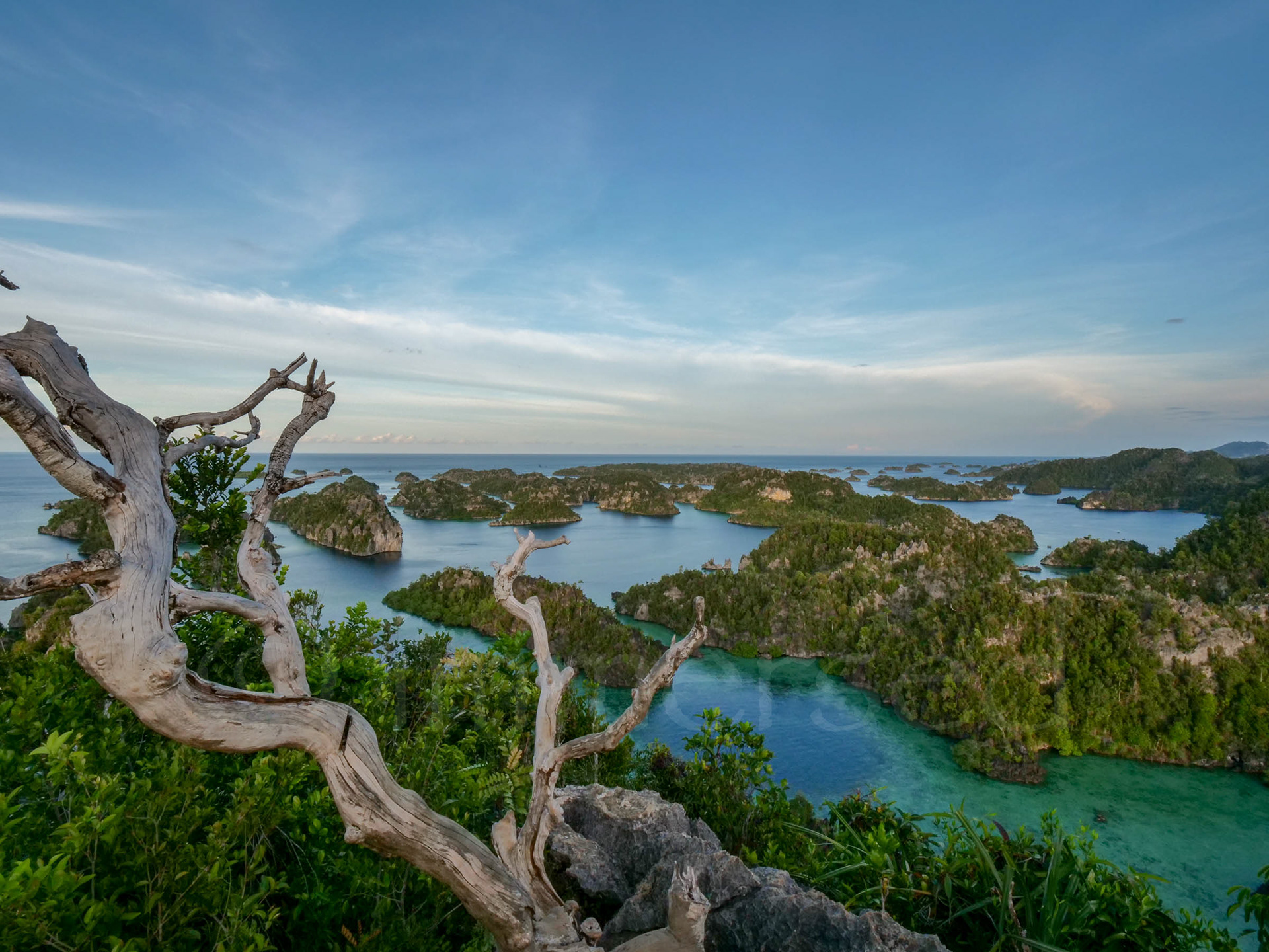 Raja Ampat