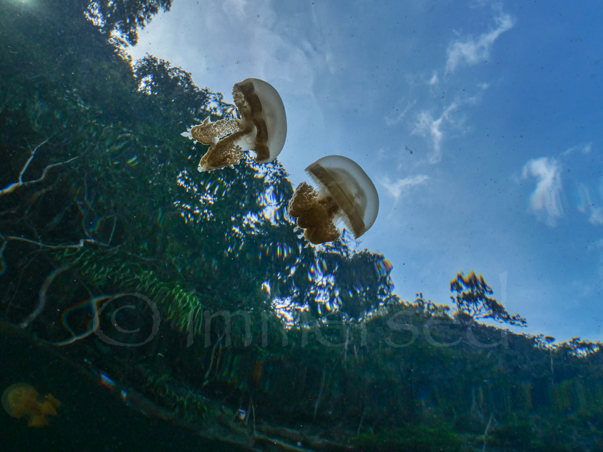flying saucers