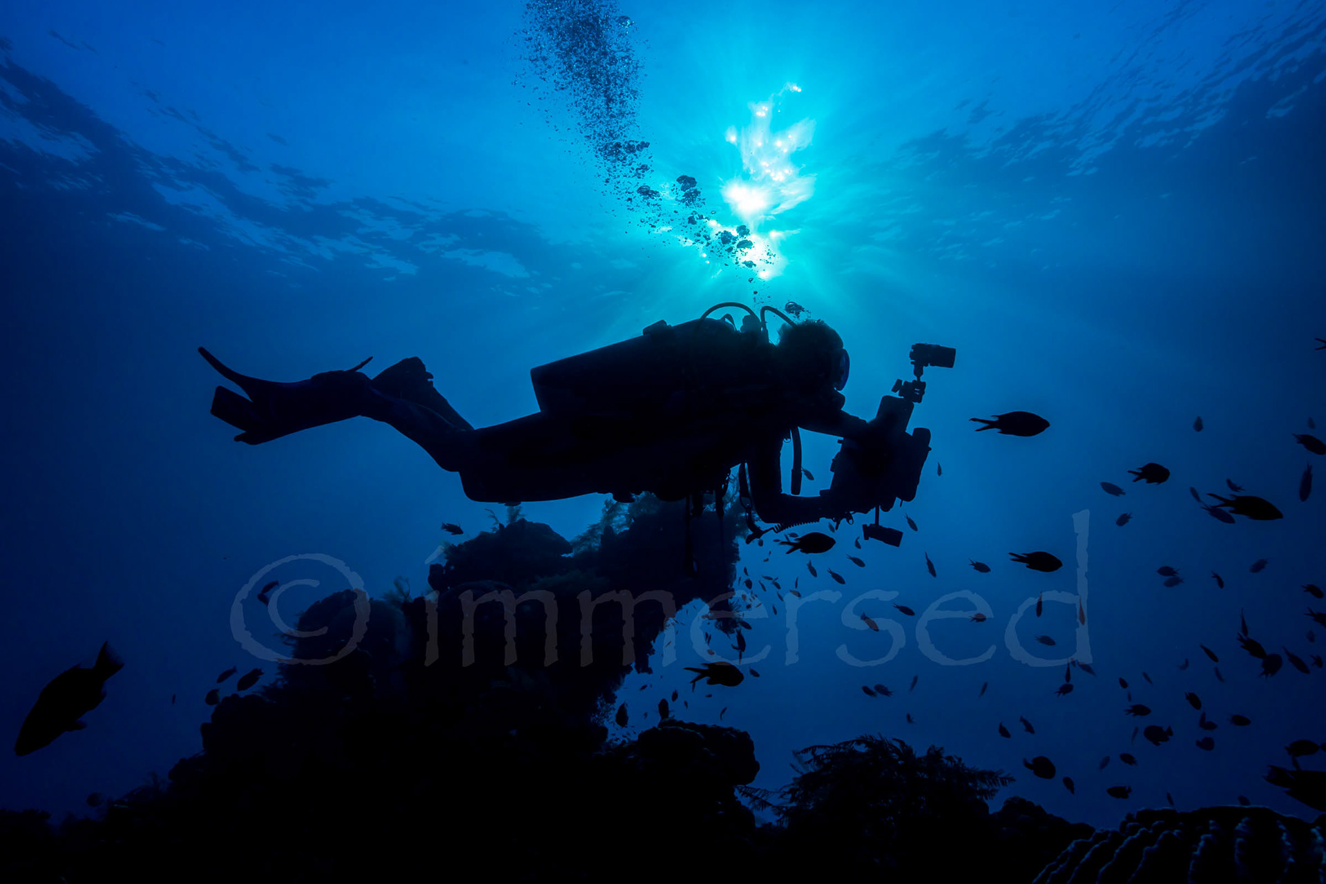 Liberty wreck, Tulamben