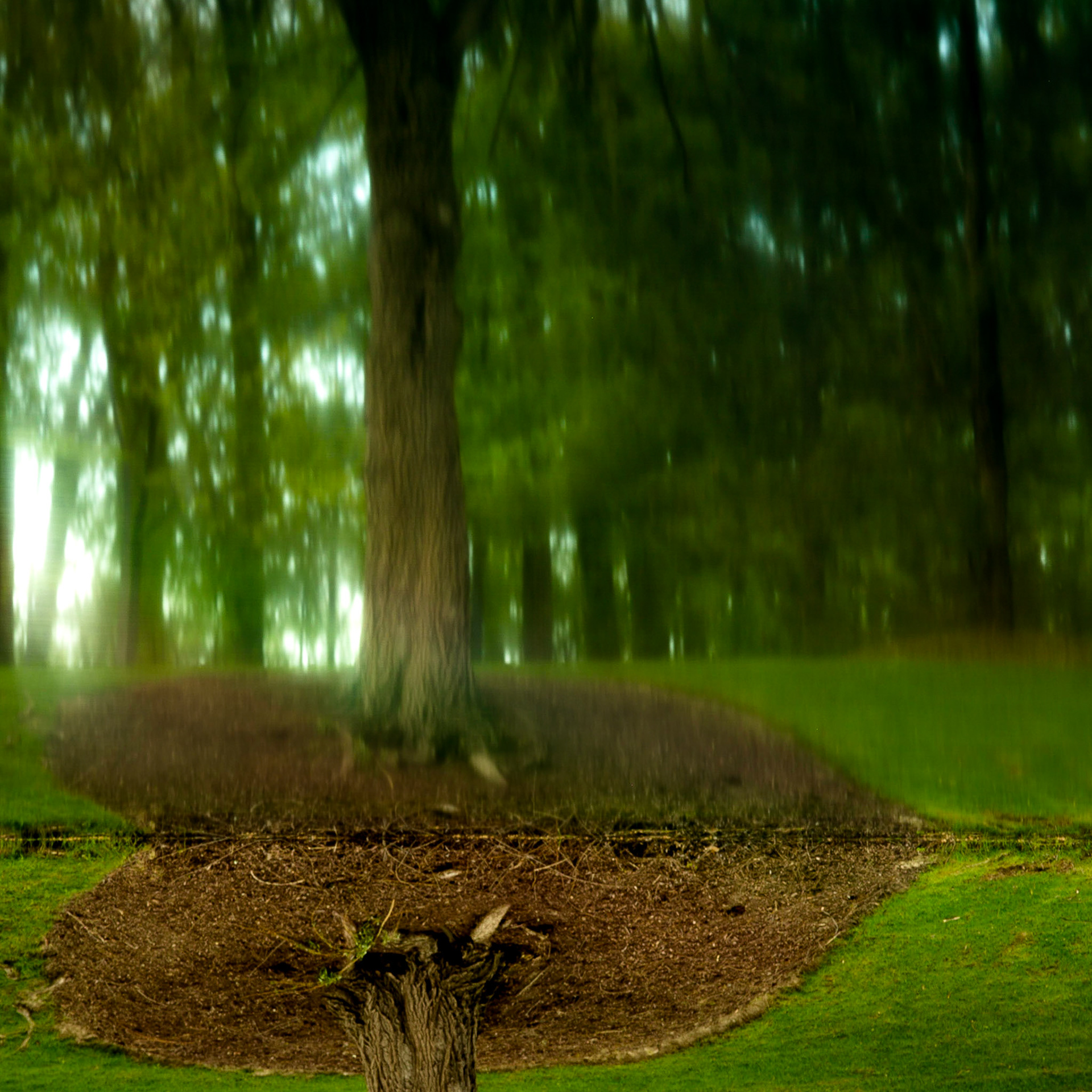 Upside Down Reflection