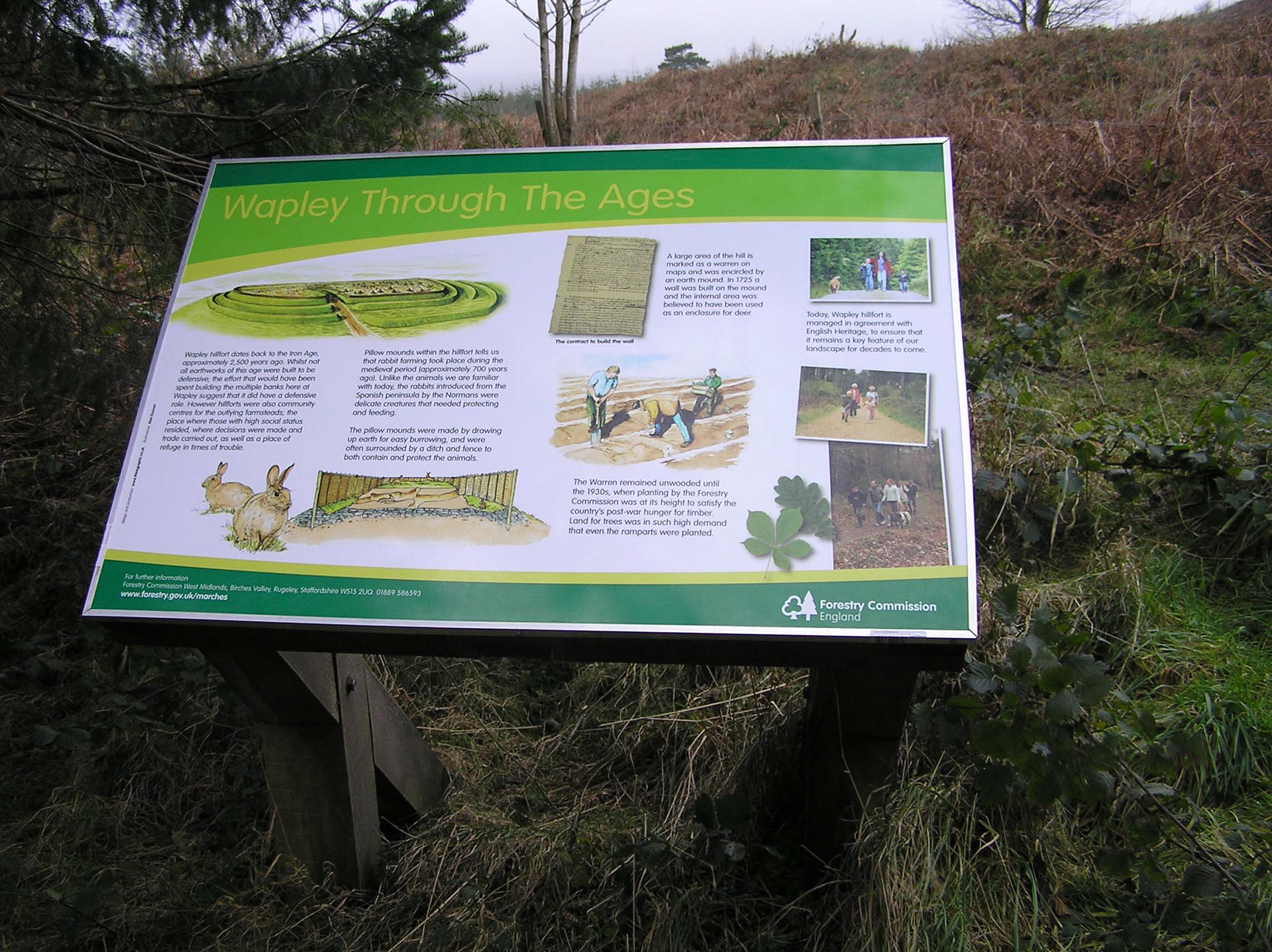 Forestry Commission: Wapley Hillfort