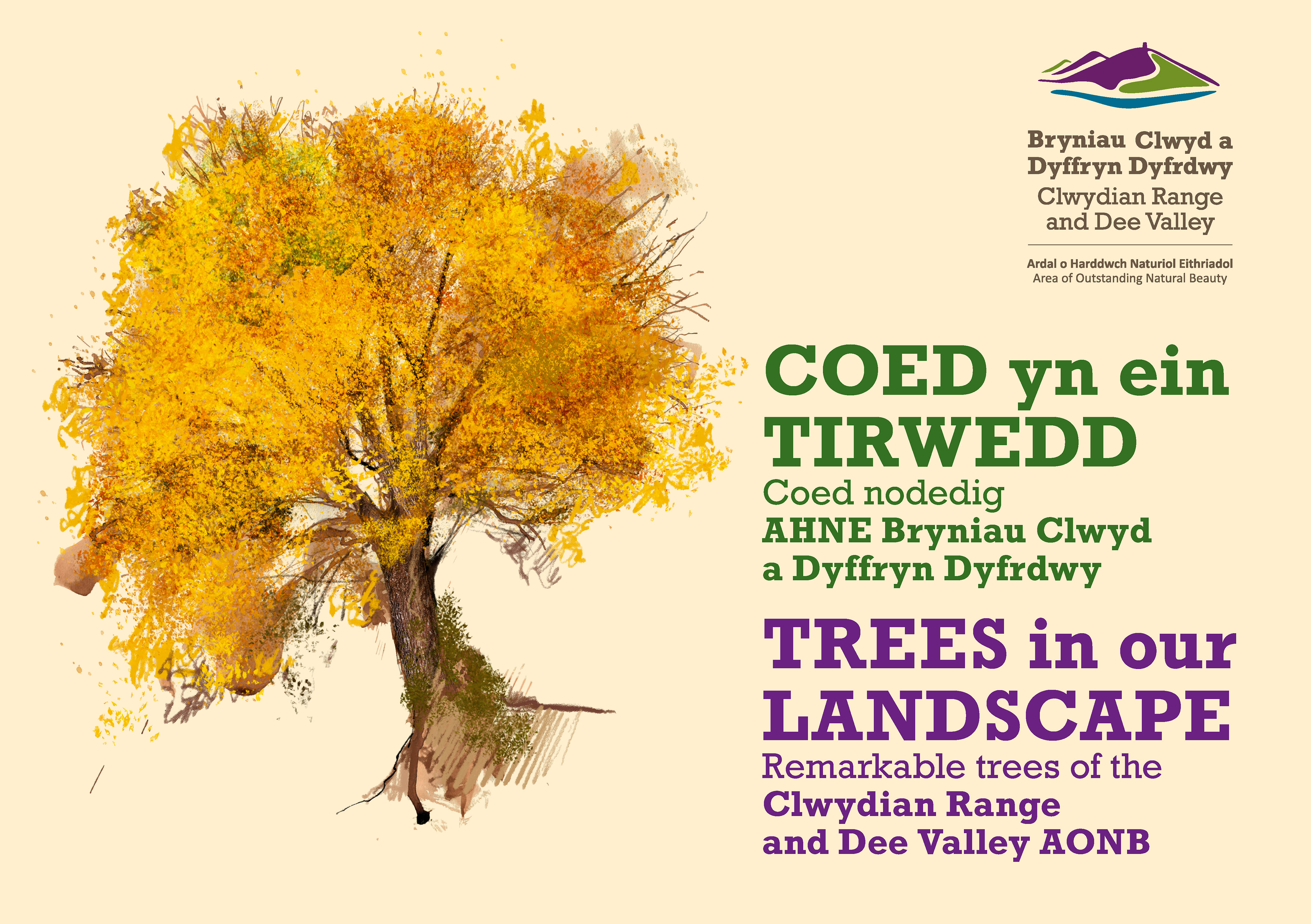 Trees in our Landscape, Clwydian Range AONB