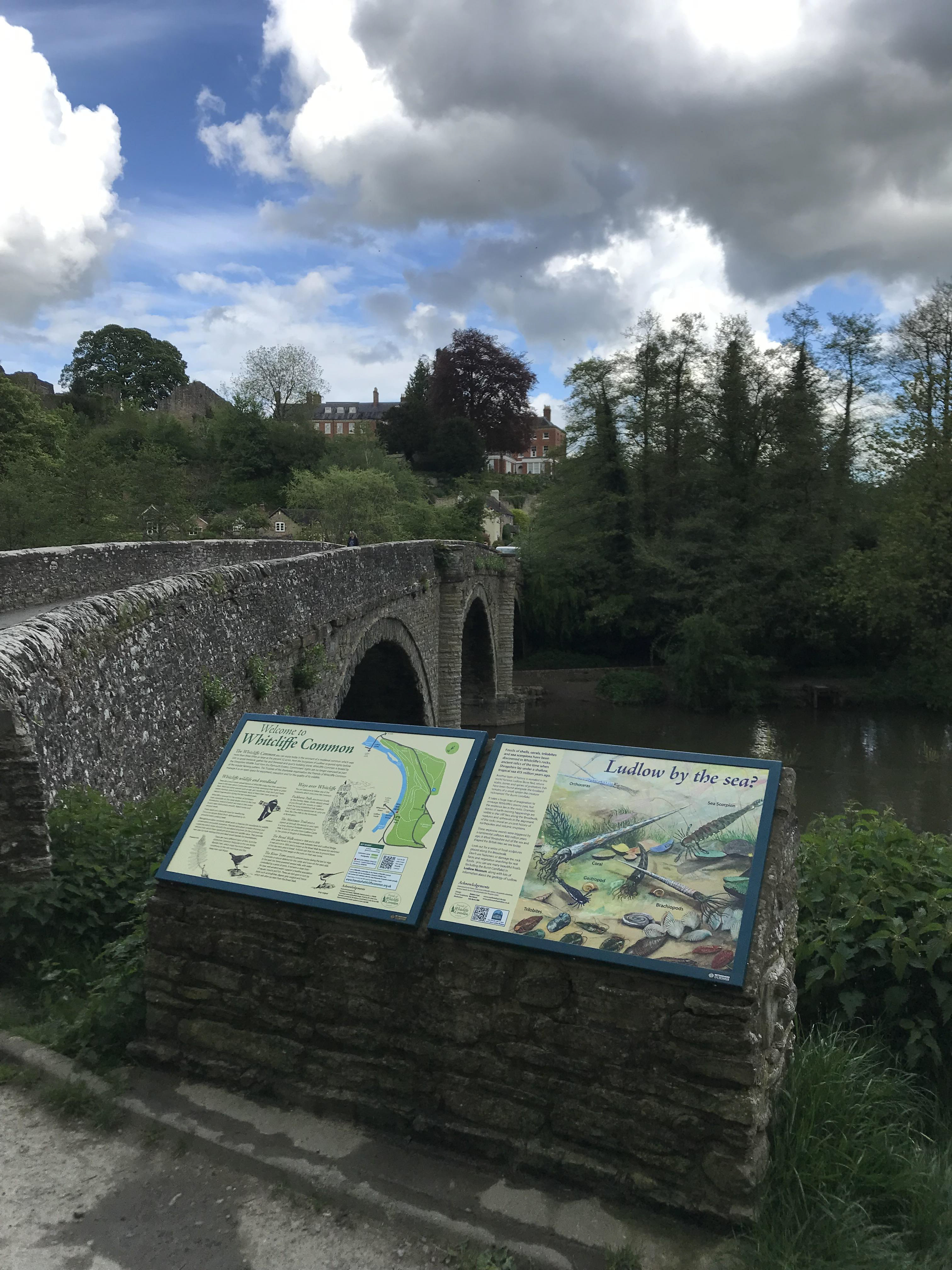 Whitcliffe Common, Ludlow, Shropshire
