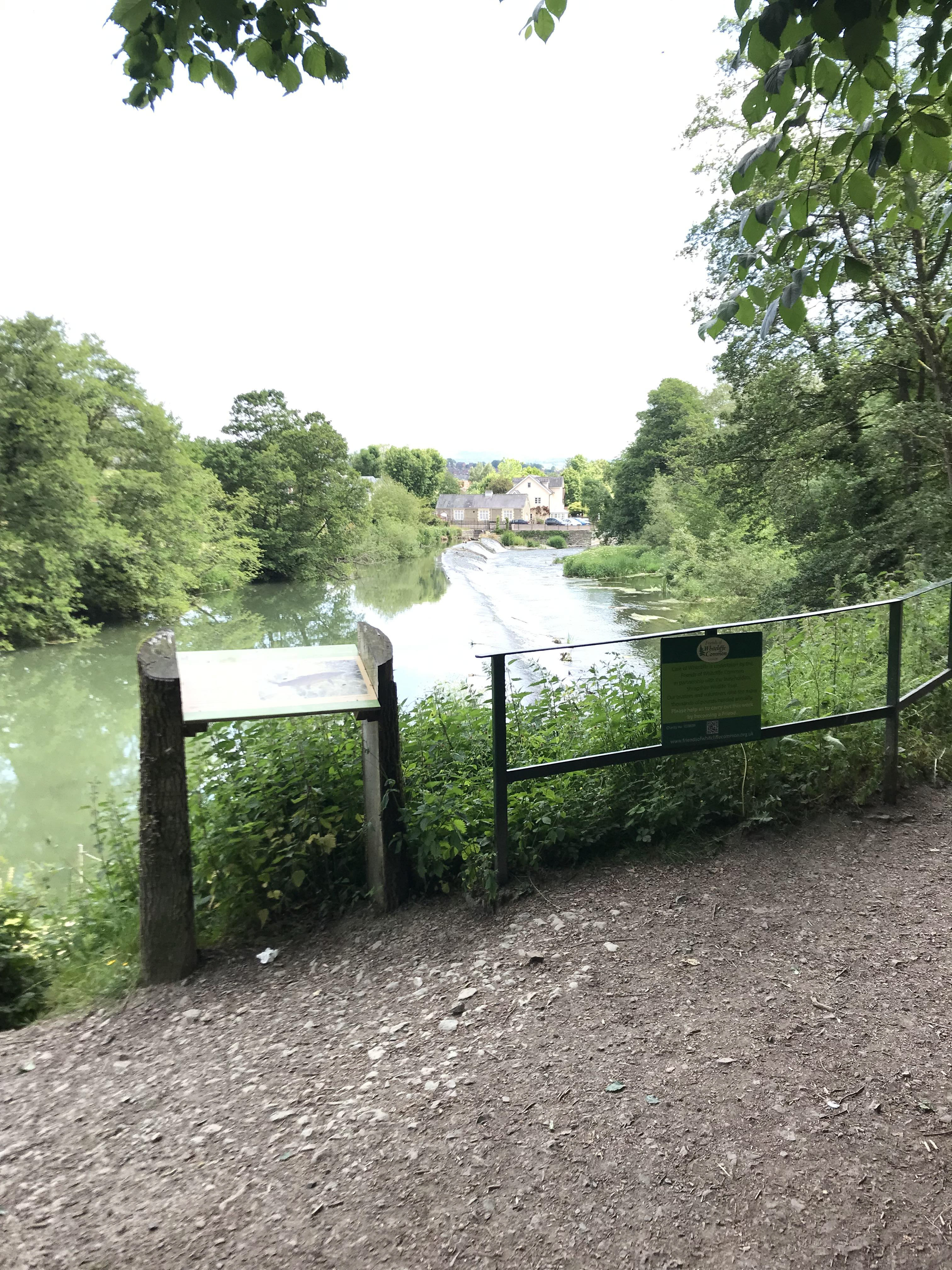 Whitcliffe Common, Ludlow, Shropshire